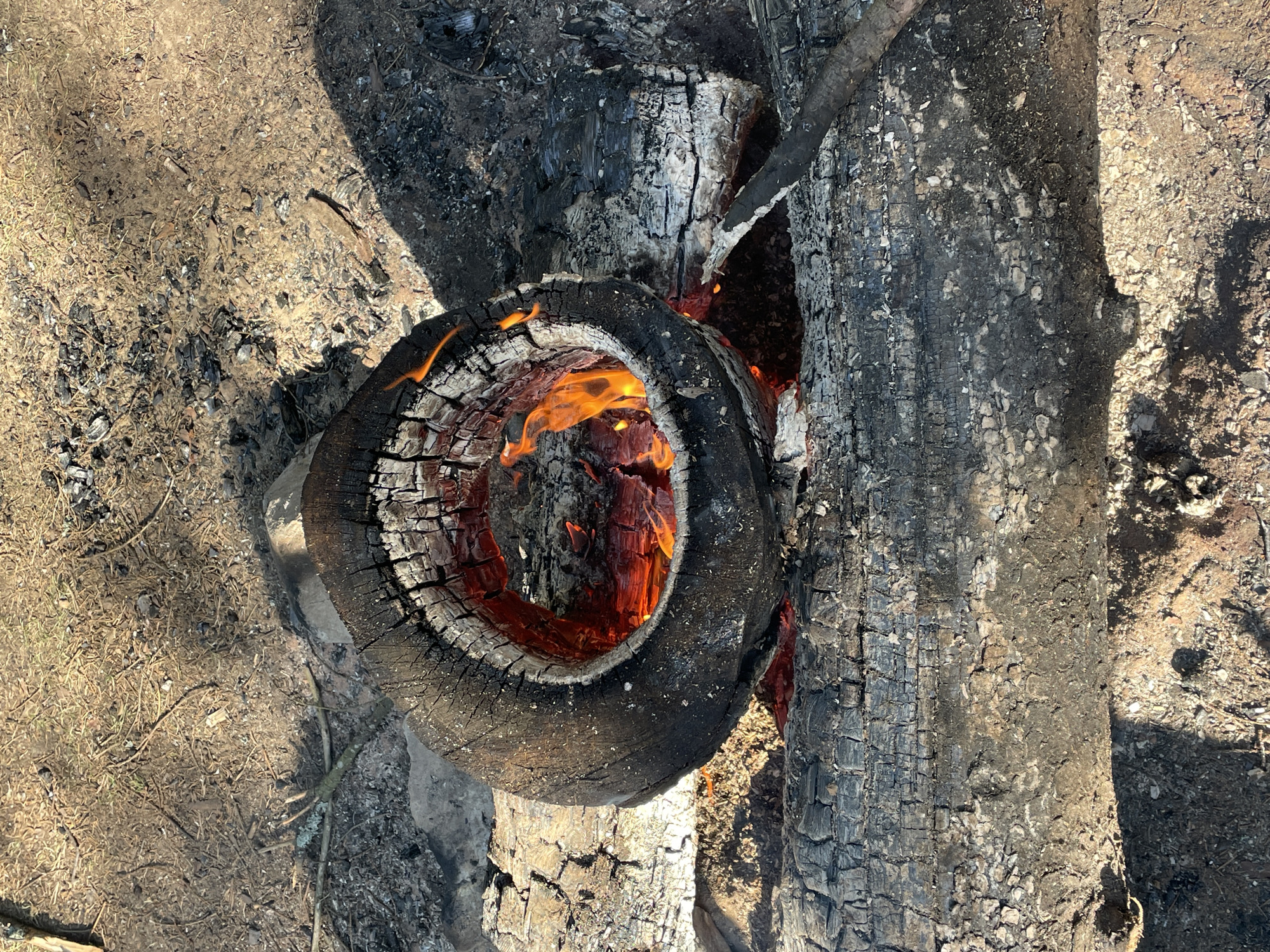 A top-down, medium shot captures a tire burning on a campfire in Il'ichevo, Russia. The tire, charred and blackened, is positioned atop several logs that appear to be smoldering. The interior of the tire is ablaze with vibrant orange and red flames, illuminating the cracked and burning wood within. The surrounding environment consists of dirt, dry grass, and scattered ashes, indicative of a campsite or outdoor fire pit. The ground is uneven, with some small rocks and twigs visible. Shadows suggest the presence of sunlight, casting a dappled pattern across the scene. No people are present in the frame. The overall impression is one of an active, albeit contained, fire in an outdoor, rural setting.