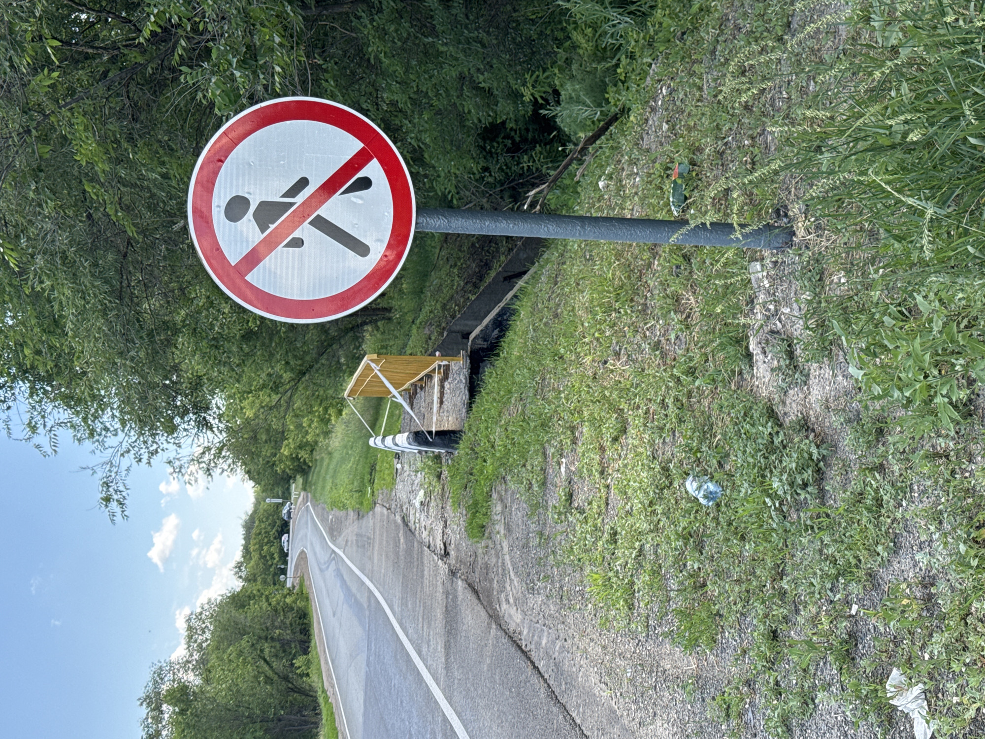 A "no pedestrians" sign is prominently displayed on the right side of a paved road in Novosemeykino, Russia. The sign, circular with a red border and a red diagonal bar, features a black silhouette of a person walking. The road curves to the left, disappearing into a heavily wooded area on either side. A yellow barrier with black and white striped posts runs along the edge of the road, separating it from a drainage ditch or embankment. The ground beside the road is covered in grass and scattered litter, including plastic bottles and wrappers. The sky is partly cloudy. In the distance, a few cars can be seen on the road.