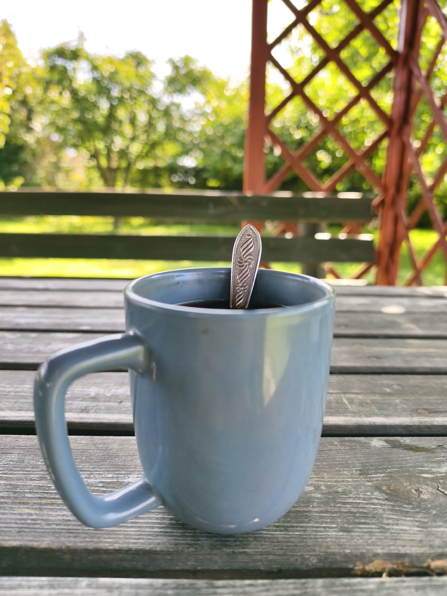A close-up, eye-level shot shows a light blue ceramic mug filled with dark liquid, resting on a weathered wooden picnic table. A silver spoon with an ornate pattern is partially submerged in the mug. In the background, a blurred green hedge and trees are visible, with a lattice-patterned wooden structure to the right, suggesting an outdoor setting such as a garden or a park area. The focus is on the mug and its contents. The image was captured on July 23, 2023, at 12:27 PM.
