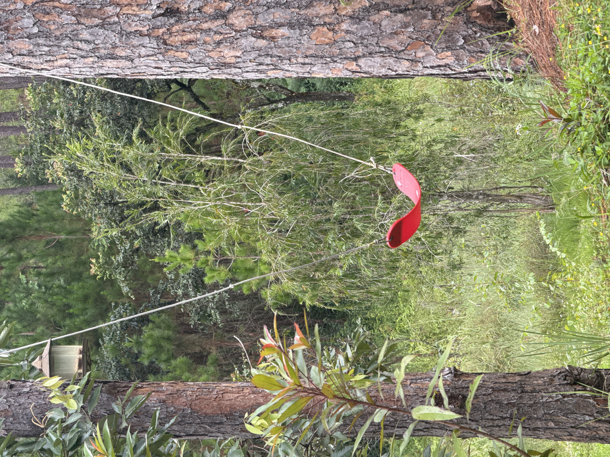A red swing is suspended by white ropes between two large trees, set within a lush green forest. The trees have rough, textured bark. In the background, a bird feeder hangs from a rope attached to one of the trees. The ground is covered in grass, foliage, and a scattering of small yellow flowers. The scene appears to be in a natural, outdoor setting, possibly a park or a wooded area in Đạ Cháy, Vietnam. There are no people or animals visible in the image.