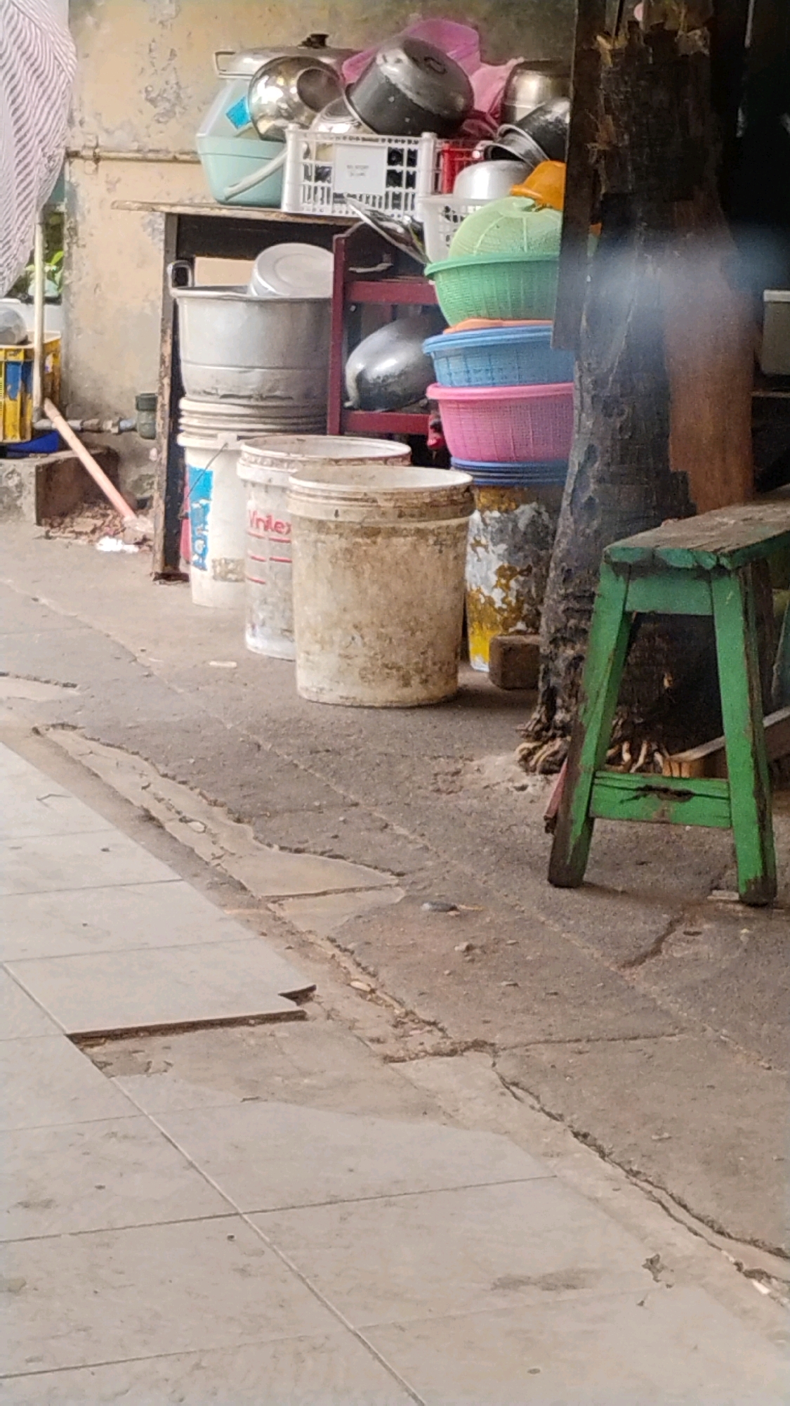 This is a medium shot of an outdoor scene in Central Jakarta, Indonesia, showing a collection of miscellaneous items stacked against a weathered wall. The scene appears to be in a utilitarian or storage area, possibly an alleyway or a backyard.
In the foreground, the ground is paved with large, rectangular tiles, some of which are cracked and uneven, with a section of dirt and debris running alongside. A small lizard can be seen on the pavement.
Behind the tiled area, there is a rough concrete surface with cracks and some scattered debris. A green wooden stool with a worn appearance stands on this surface, its legs partially obscured by the trunk of a tree.
The main focus of the image is a collection of various containers and kitchenware. Several large, light-colored buckets, some with visible labels, are lined up. One bucket is a dirty white color with some red markings, and another is a cream color with a weathered appearance. To the right of these buckets, a cylindrical object with a colorful abstract pattern is visible.
Stacked on shelves or a makeshift structure behind the buckets are numerous plastic bowls and containers in various colors, including green, blue, and pink. There are also metal pots and pans, some of which are stacked high. A white plastic crate is also visible among the items. The wall in the background is textured and appears aged, with some staining and discoloration.
A part of a person's arm and shoulder, clad in a striped fabric, is visible on the far left edge of the image. A pink broom or mop handle extends from the left side, leaning against some objects. The overall impression is one of clutter and disarray, suggestive of a working or storage space that is not meticulously maintained.