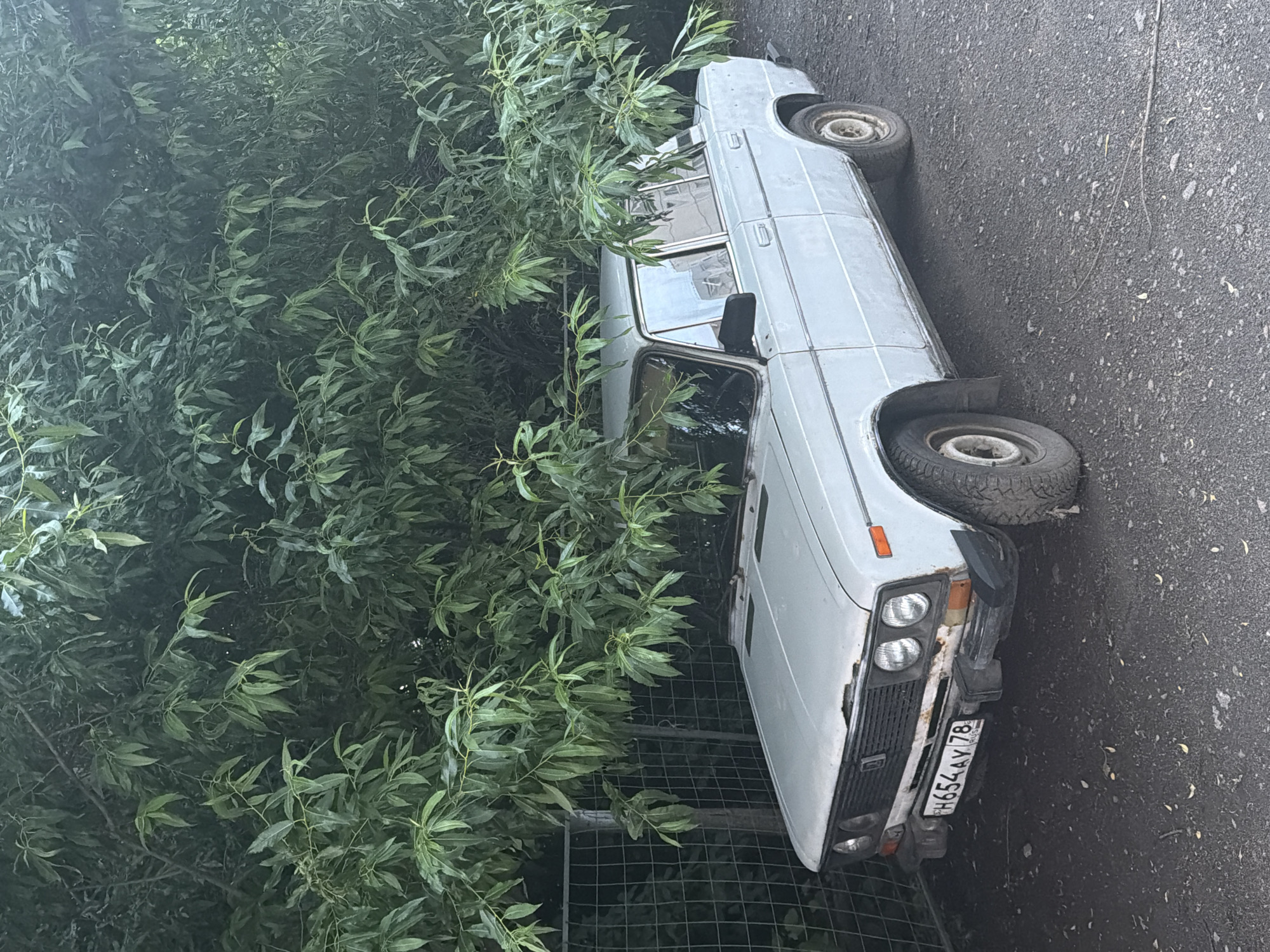 An abandoned, light blue, four-door sedan is parked under a dense green tree. The car is facing right, with its front end partially obscured by branches. The car's license plate, visible on the front bumper, reads "H654AY 78". The bumper is rusted, and the headlights are cloudy. The car's tires are worn. The car is on an asphalt surface. Behind the car, a wire mesh fence is visible. The environment appears to be an urban setting, possibly a residential area or a parking lot.