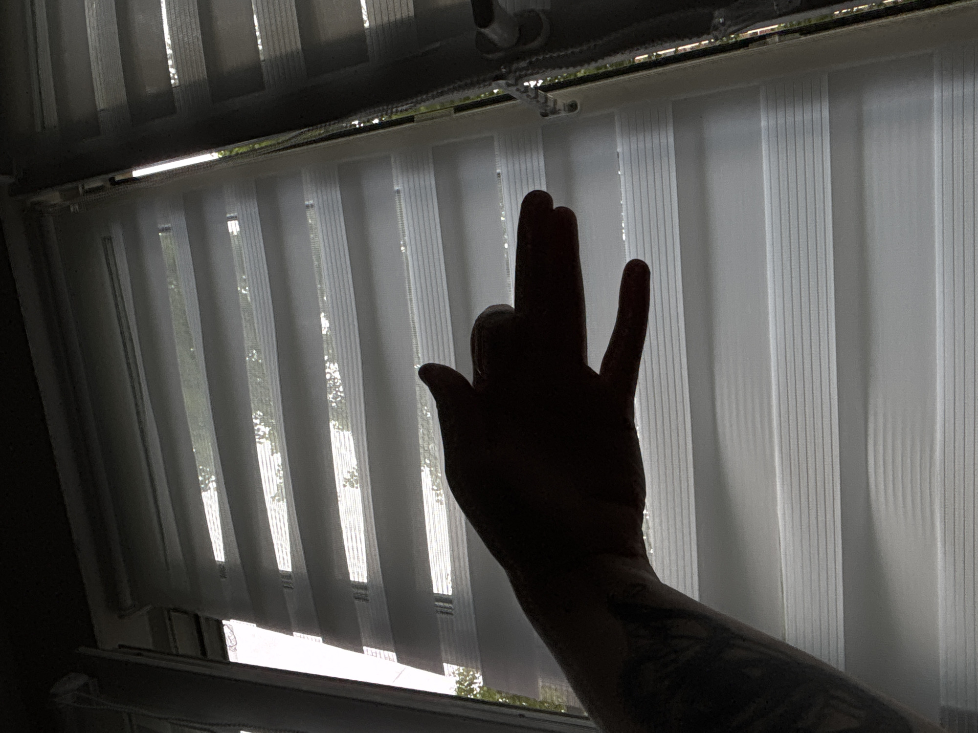 A silhouette of a hand forms a dog shape in front of a window with horizontal blinds in Saint Petersburg, Russia. The hand is positioned to the left of the frame, with the thumb and index finger extended to create the snout and lower jaw of the dog, while the other fingers are curled to form the head. The blinds are white and have alternating opaque and sheer horizontal stripes, allowing diffused light to enter the room. The background outside the window shows the blurred shapes of trees and what appears to be the sky. The overall lighting is dim, with the hand and window frame being the most prominent dark silhouettes against the brighter, striped blinds.