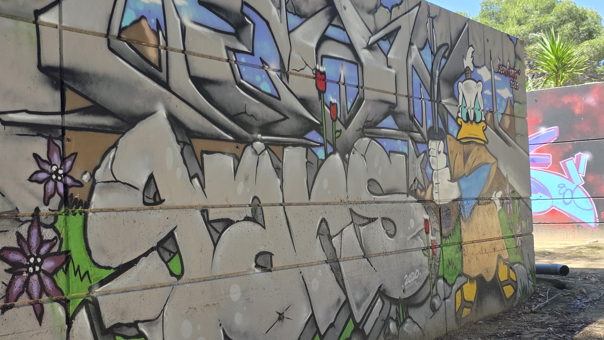The image shows a concrete block wall covered in graffiti in Guardamar del Segura, Spain. The graffiti includes stylized lettering, flowers, and a depiction of Donald Duck wielding a sword. The lettering appears to be in shades of gray and black with some green and brown highlights, while the flowers are purple with green stems. Donald Duck is in his traditional sailor outfit but with a determined expression, holding a large gray sword. Additional graffiti in red and blue is visible on a wall behind the main wall, which is in an outdoor setting with sparse ground vegetation.