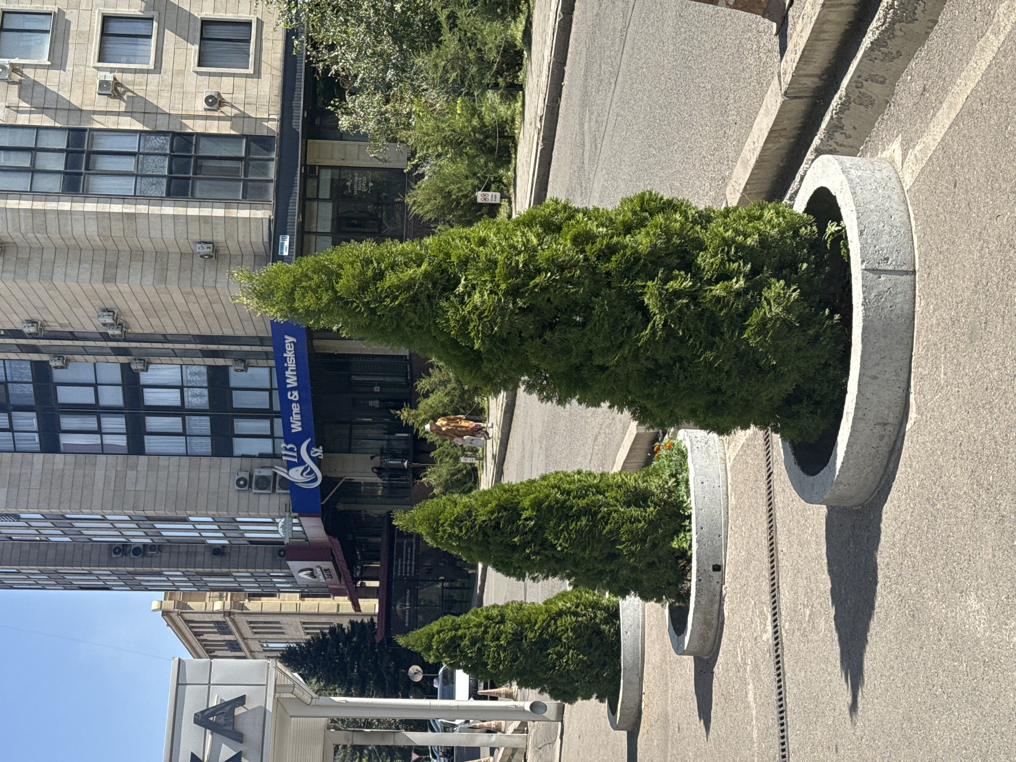 In the city of Bishkek, Kyrgyzstan, a sunlit scene unfolds along an urban street. In the foreground, three conical evergreen trees are planted in round concrete planters, arranged in a line. The tree closest to the viewer casts a distinct shadow on the textured asphalt and concrete walkway. Behind the trees, a modern building with a light-colored stone facade stands tall, featuring multiple windows and air conditioning units. A blue awning extends from the building, over the entrance of a establishment labeled "113 Wine & Whiskey". Further back, other buildings and trees are visible, along with a street with passing cars. A person in a light-colored outfit is walking on the sidewalk in the middle ground, and another person is visible on a balcony of the building. The sky is clear and blue.