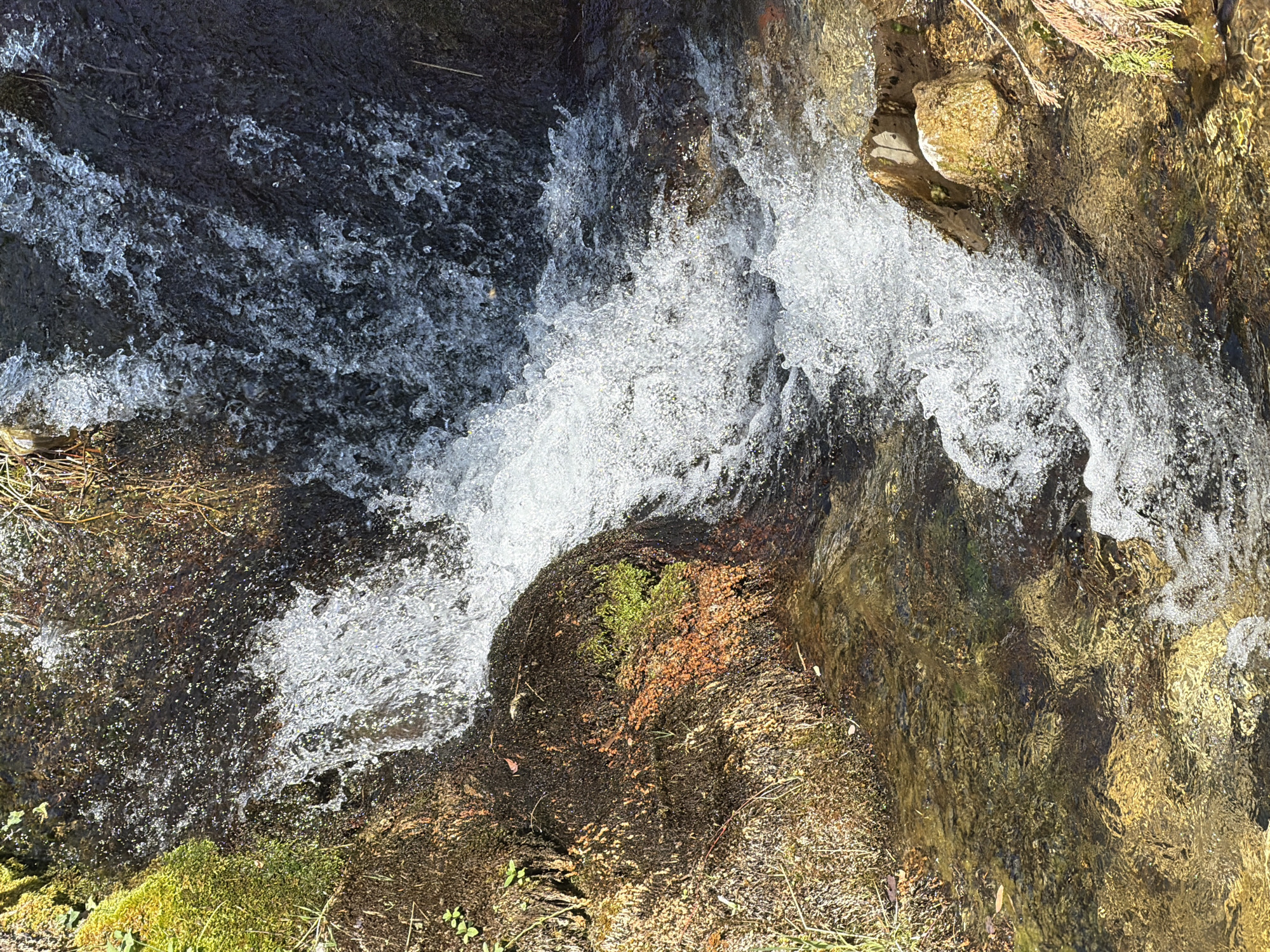 The image shows a close-up view of a small waterfall or rapids in a natural setting. The water is clear and turbulent, with white foam and spray indicating movement. The surrounding environment consists of moss-covered rocks and vegetation. The water flows over dark, wet rocks, with some lighter-colored stones visible beneath the surface of the water. The overall impression is one of a natural, flowing water feature. The location in Manastir Morača, Montenegro, suggests a mountainous or forested area.