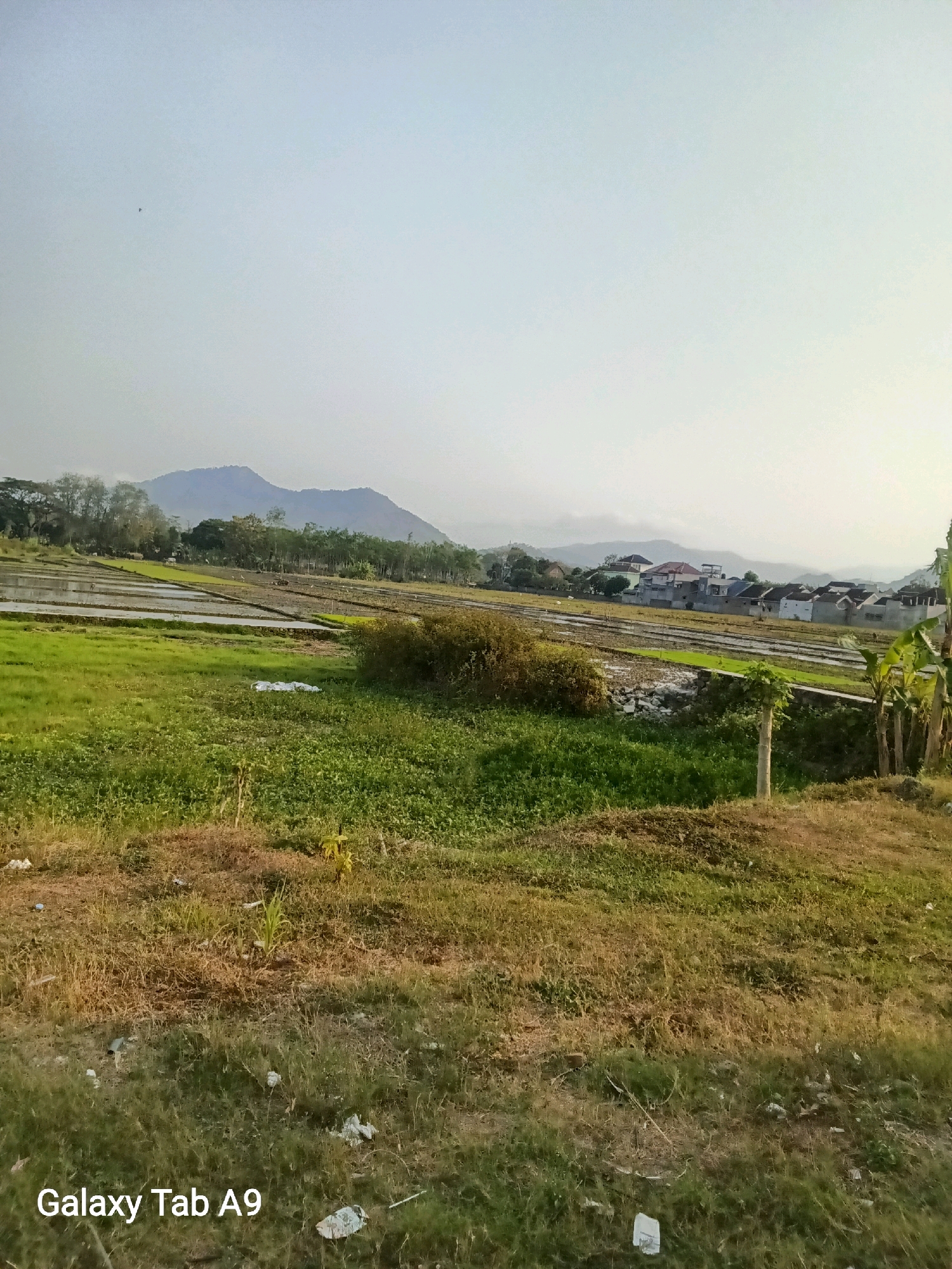 An outdoor, wide-angle shot captures a serene landscape with a mountainous backdrop under a hazy, pale sky. In the foreground, a field of dry, yellowed grass is interspersed with patches of green vegetation. A dirt path with some scattered debris runs along the bottom edge of the image. Beyond this, a vibrant green field leads to a series of terraced rice paddies filled with water, reflecting the sky. A dense line of trees with dark green foliage stretches across the mid-ground, separating the fields from a cluster of houses with red-tiled roofs that form a small village nestled at the foot of the mountains. The mountains themselves are soft blue-grey, their peaks softened by distance and haze. A small, dark bird is visible in the upper left quadrant of the sky. The "Galaxy Tab A9" watermark is present in the bottom left corner. This appears to be a rural area in Trenggalek, Indonesia, characterized by its agricultural landscape and hilly terrain.