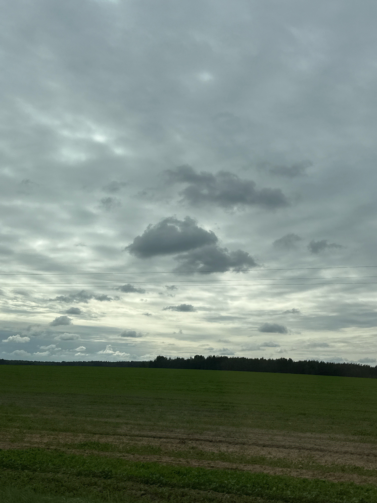 The image depicts an overcast sky above a vast, green field in Краснаўскі сельскі Савет, Belarus. The sky is filled with various shades of grey clouds, with some lighter patches indicating possible breaks in the cloud cover. A thin, horizontal line of utility wires stretches across the mid-section of the frame, connecting unseen poles. The field in the foreground is a deep green, with subtle variations in texture and color suggesting different types of vegetation or cultivation. In the distance, a dense line of dark green trees forms the horizon, separating the field from the sky. The overall scene is one of a rural landscape under a moody, cloudy sky.
