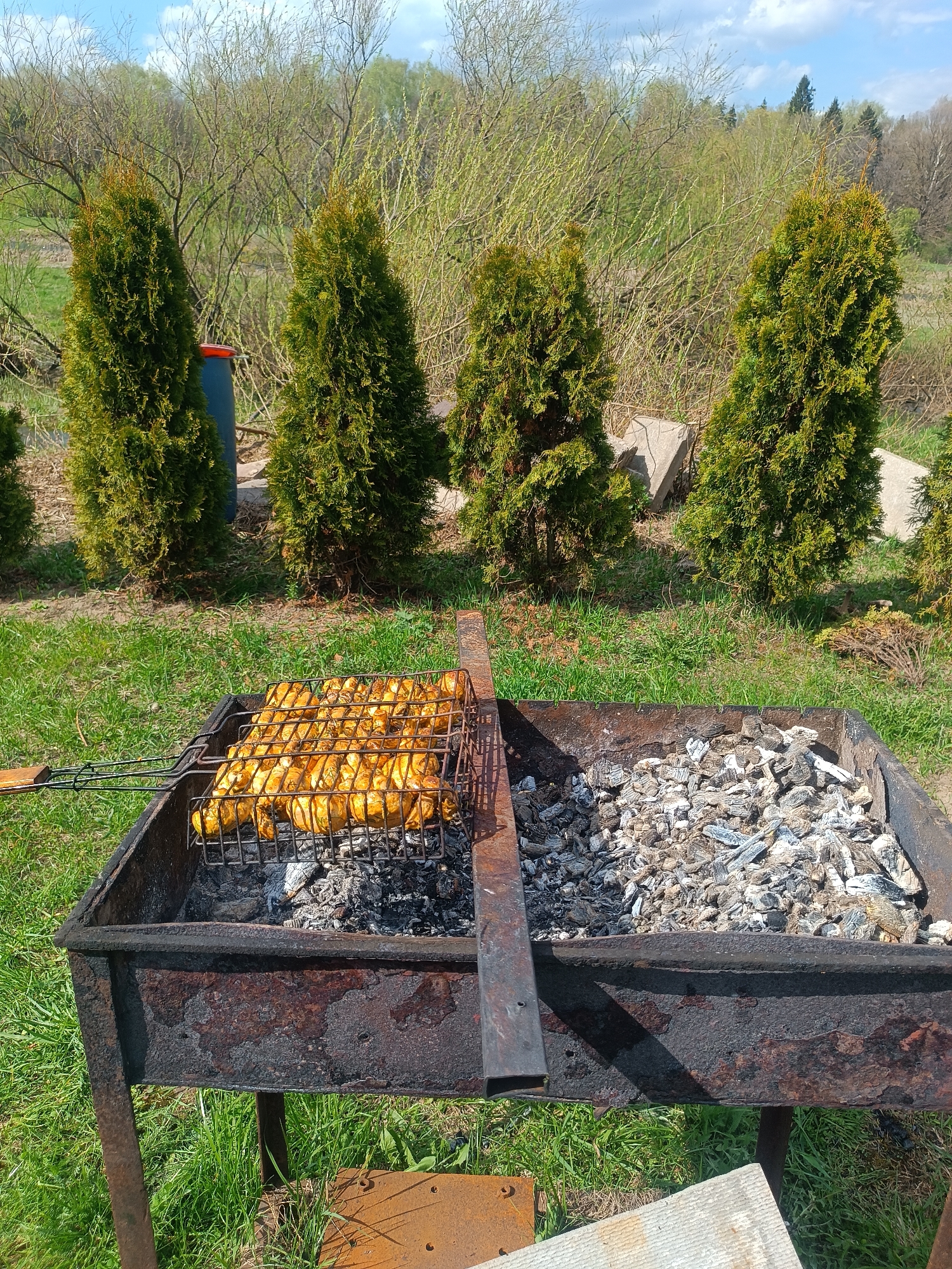 The image depicts a rusty, metal barbecue grill in an outdoor setting, possibly in Motyakovo, Russia. The grill is situated on a grassy area with several tall, evergreen trees in the background. On one side of the grill, cooked food, possibly marinated chicken, is grilling over hot coals. The other half of the grill is filled with white and grey ash. There is also an unidentified object in the grass on the bottom-right of the photo.