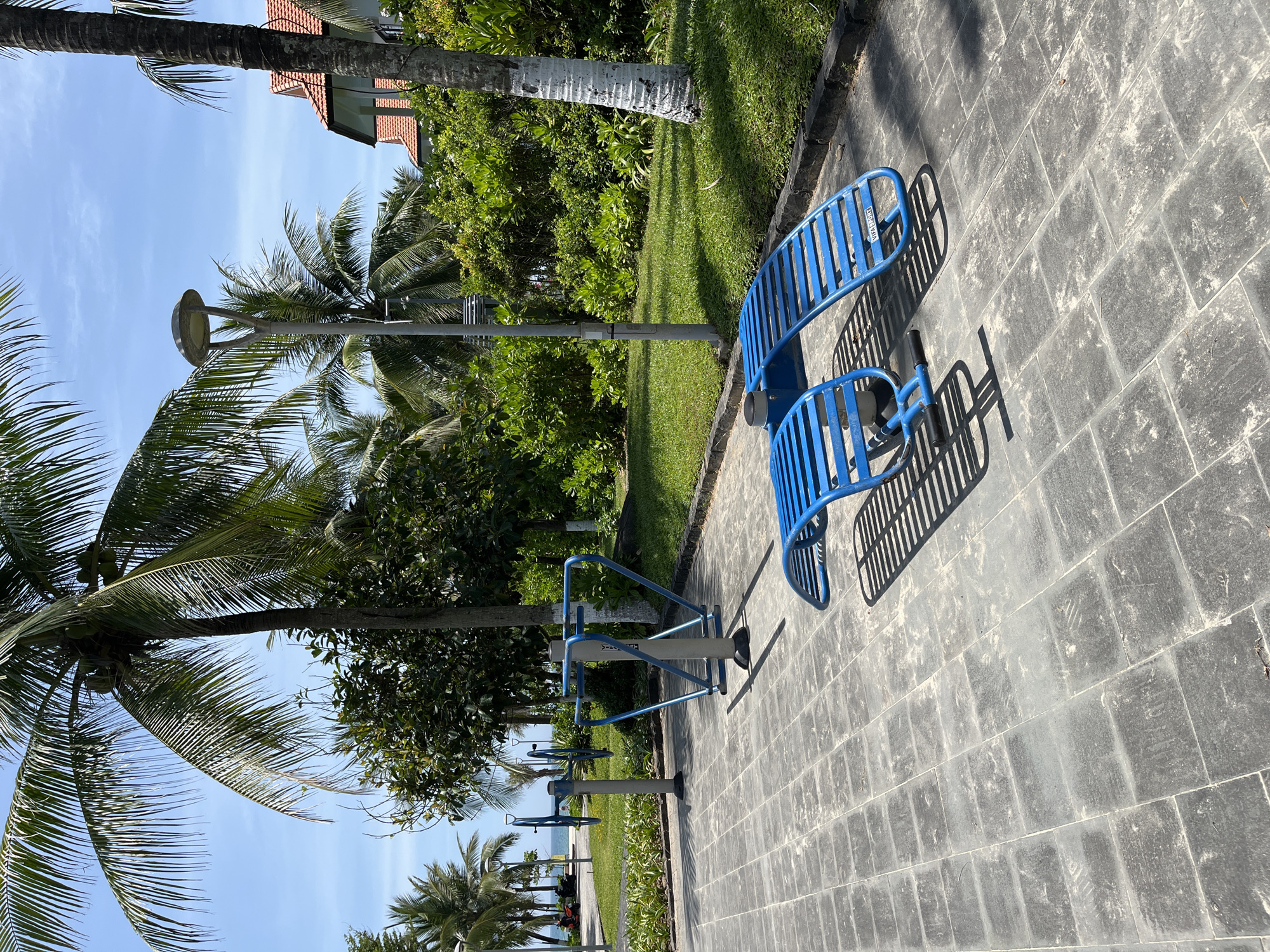 Outdoor exercise equipment sits on a paved area. The equipment is blue and casts shadows on the gray pavers. Palm trees are visible, as is some greenery. A light post stands between the palm trees and exercise equipment. A building with a red tile roof is also visible in the background. Đà Nẵng, Vietnam is likely the location.