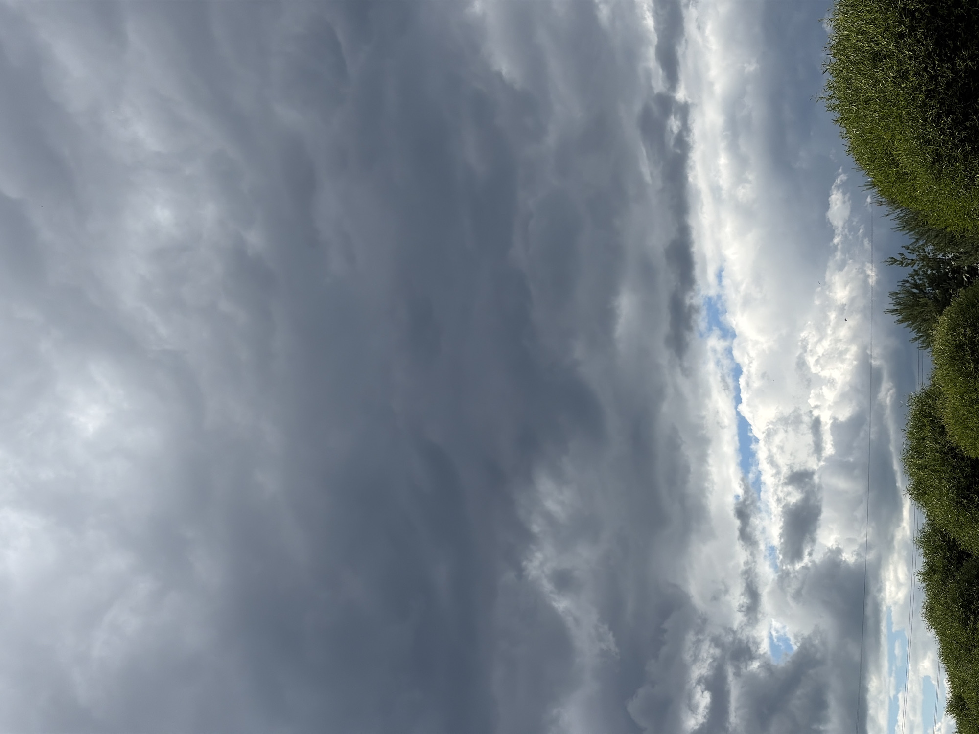 The image captures a dramatic sky filled with a mix of dark, ominous storm clouds and bright, wispy white clouds. A sliver of blue sky is visible between the cloud formations, suggesting a transition in the weather. On the right side of the frame, lush green foliage, likely trees or a hedge, lines the edge of the scene, creating a contrast with the moody sky. A faint hint of power lines can be seen running vertically near the foliage. The overall impression is one of impending weather change, possibly a storm or a clearing after rain. The time of day appears to be either late afternoon or early evening, given the dramatic lighting and the contrast between light and dark clouds. No people or specific objects are clearly discernible, and there is no visible text. The setting suggests an outdoor, possibly rural or suburban, environment.