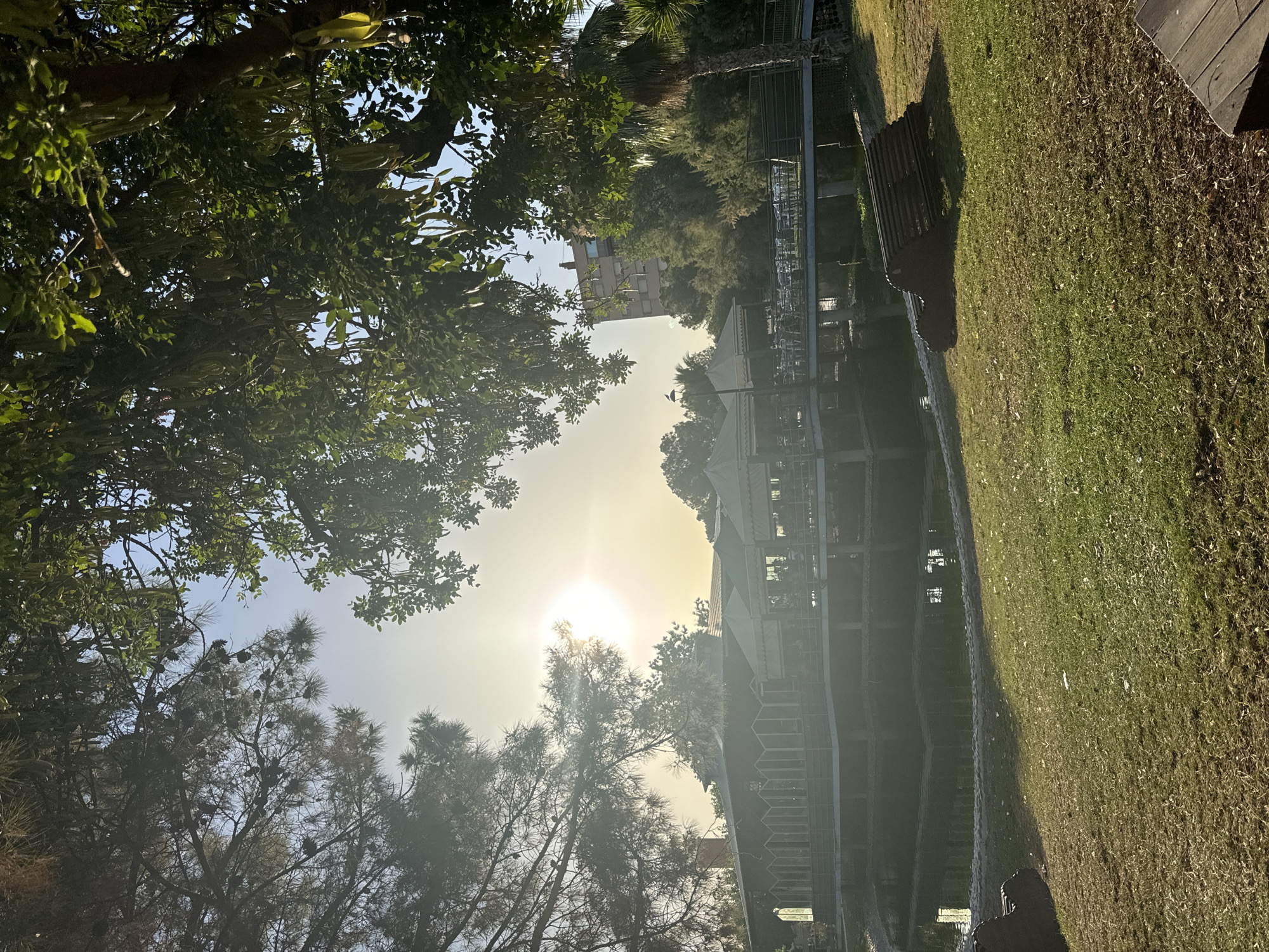 The image depicts an outdoor dining area next to a pond, bathed in the warm light of the setting sun. The architecture suggests a Mediterranean style, possibly a restaurant or cafe with an open-air seating area. A bridge spans the pond, connecting to the dining establishment. Lush greenery, including trees and palm fronds, frames the scene, creating a serene and natural ambiance. The presence of tables and chairs indicates that this is a place for leisure and dining. The overall impression is one of tranquility and a pleasant outdoor setting. Based on the architectural style and vegetation, it is plausible this scene is located in the city of Murcia, Spain.