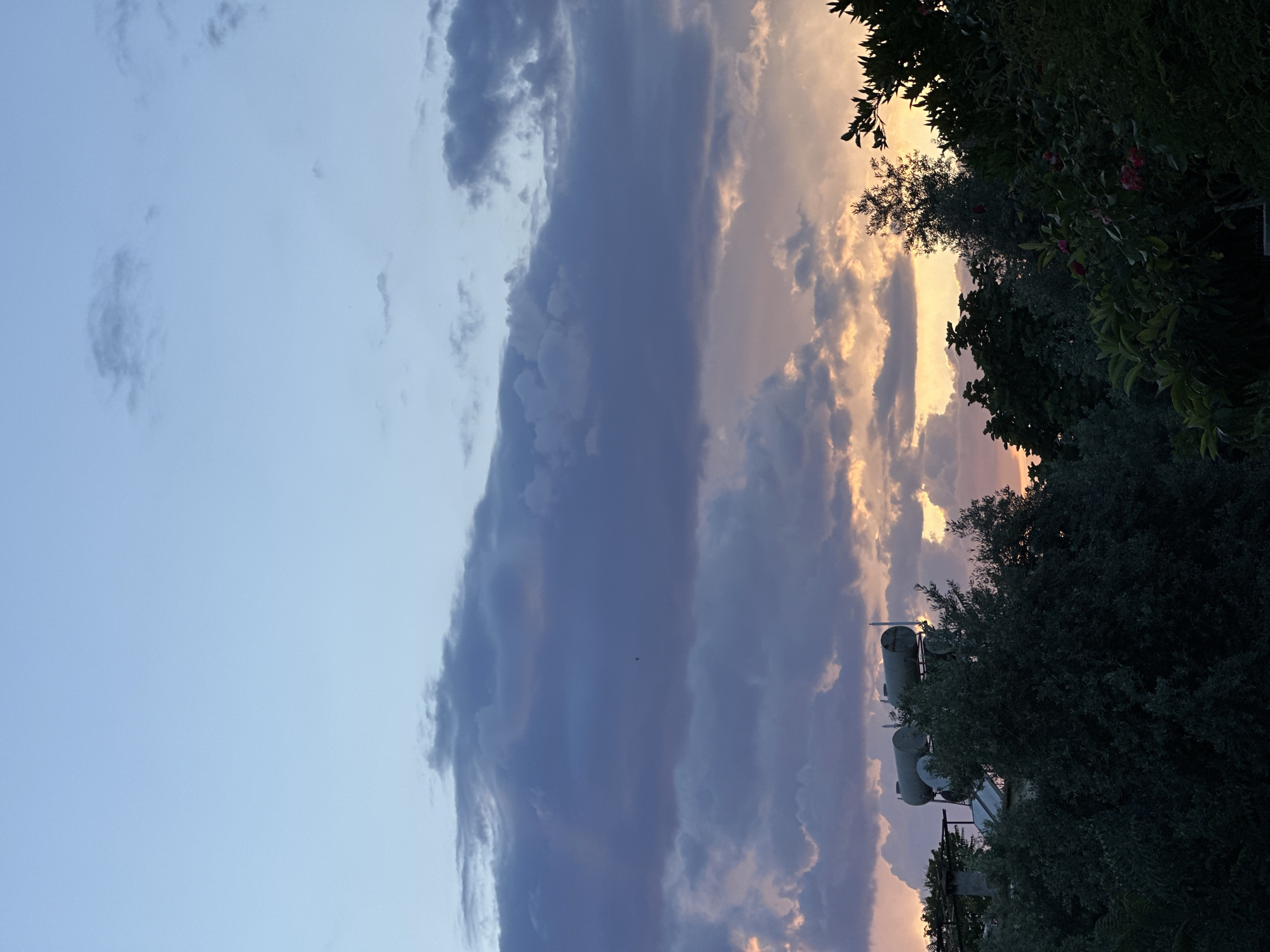 The photograph captures a twilight or sunset scene, possibly in Fethiye, Turkey, as suggested by the context. The image is oriented vertically, and the lower half of the frame is dominated by dark green foliage, potentially trees or shrubs, which obscure much of the foreground details.
Several cylindrical, metallic structures, likely water heaters or tanks, are visible through gaps in the foliage, positioned against the backdrop of the sky.
The upper portion of the image reveals a sky filled with clouds, exhibiting varying hues of blue, gray, and orange. The coloration suggests the presence of the setting or rising sun. A large mass of dark, heavy clouds occupies the center-left of the frame, while the right side presents lighter, illuminated clouds.