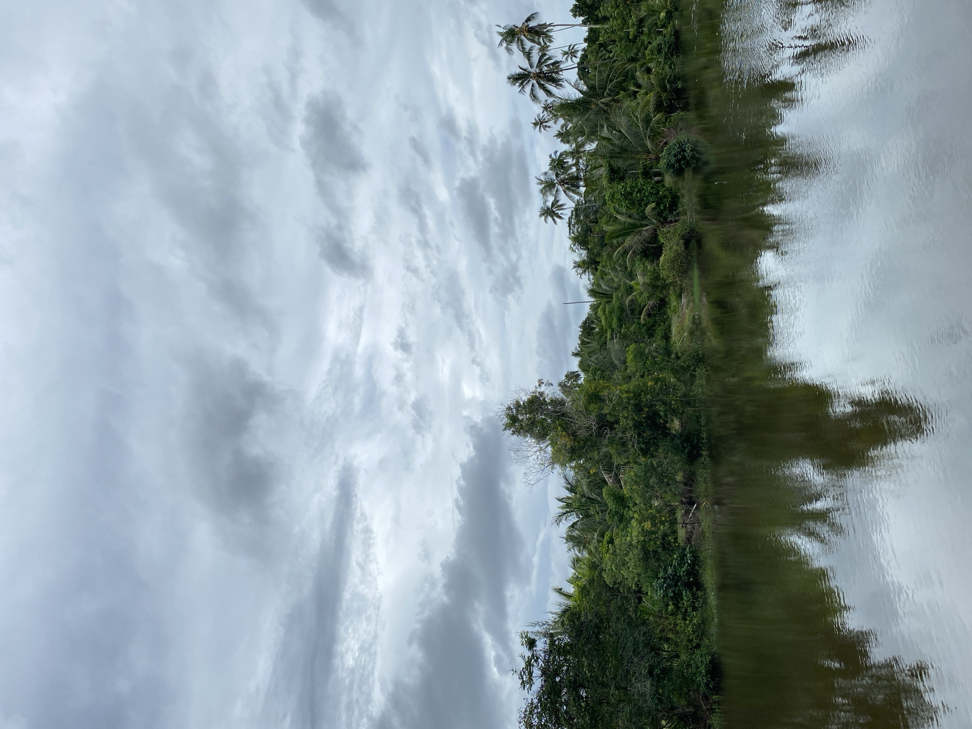 The image depicts a tranquil body of water, likely a river or canal, in Aneuk Paya, Indonesia. The water's surface is dark and reflects the lush greenery and overcast sky above. On the far bank, a dense line of trees and palm trees creates a natural barrier, with their foliage appearing in various shades of green. The sky is filled with dramatic, heavy grey clouds, suggesting an impending rain or a recent downpour. The overall atmosphere is serene and somewhat moody, characteristic of tropical landscapes under cloudy conditions. There are no people or visible man-made structures in the immediate foreground or on the riverbank, emphasizing the natural beauty of the scene.
