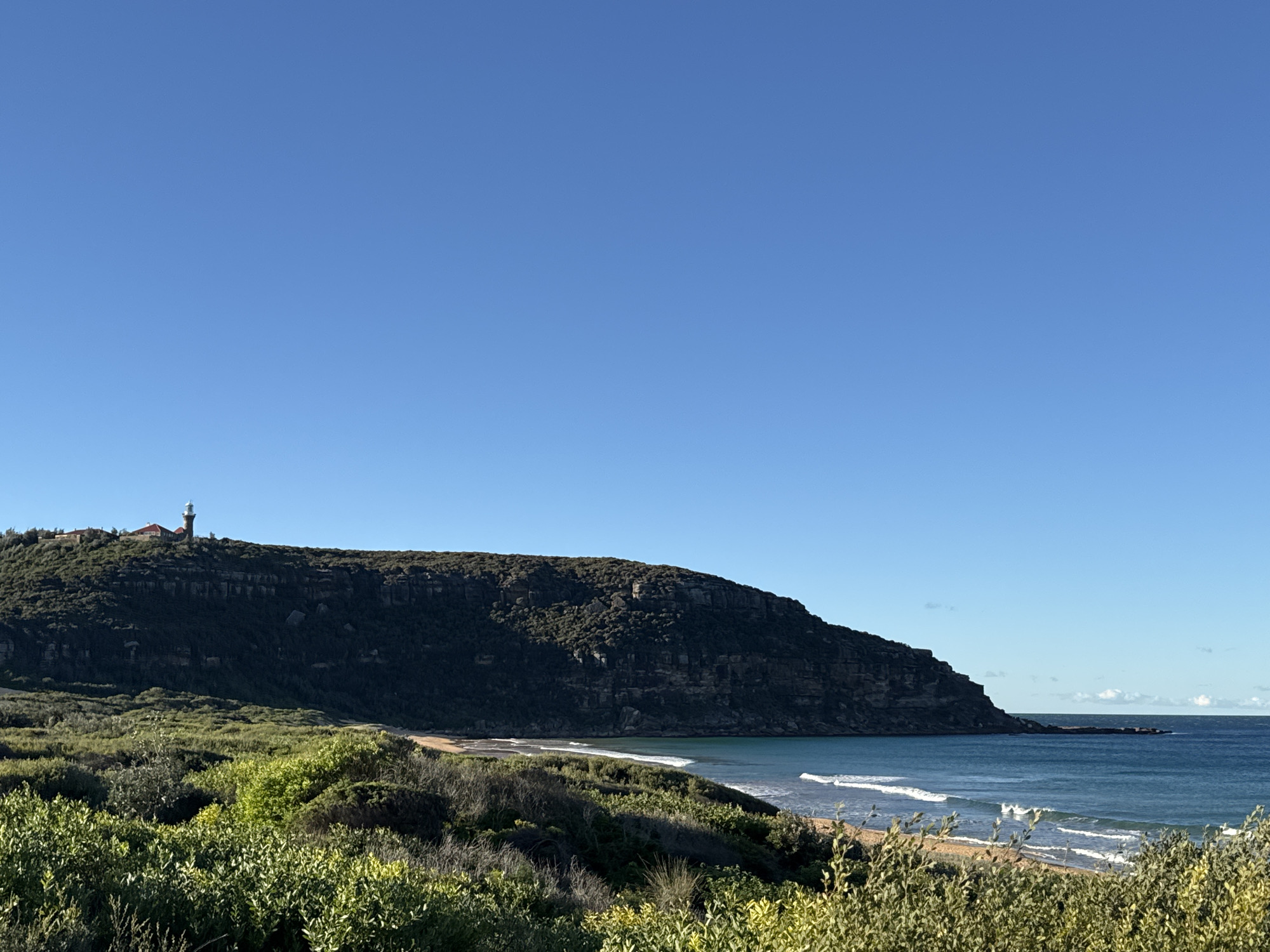 A clear, blue sky dominates the upper portion of the image, with a vast expanse of ocean stretching out to the horizon on the right. In the middle ground, a dark, rocky headland rises steeply from the sea, its surface covered in dense green shrubbery. Perched on the crest of the headland is a white lighthouse with a red roof, its beacon visible against the sky. A small, red-roofed building is situated near the lighthouse.
Below the headland, a sandy beach curves along the coastline, met by the gentle lapping of waves. The foreground is filled with lush, green vegetation, including bushes and smaller shrubs, which blur slightly, creating a sense of depth. The overall scene depicts a serene coastal landscape, likely in or around Palm Beach, Australia, known for its natural beauty and prominent lighthouse. No people or animals are visible in the image.