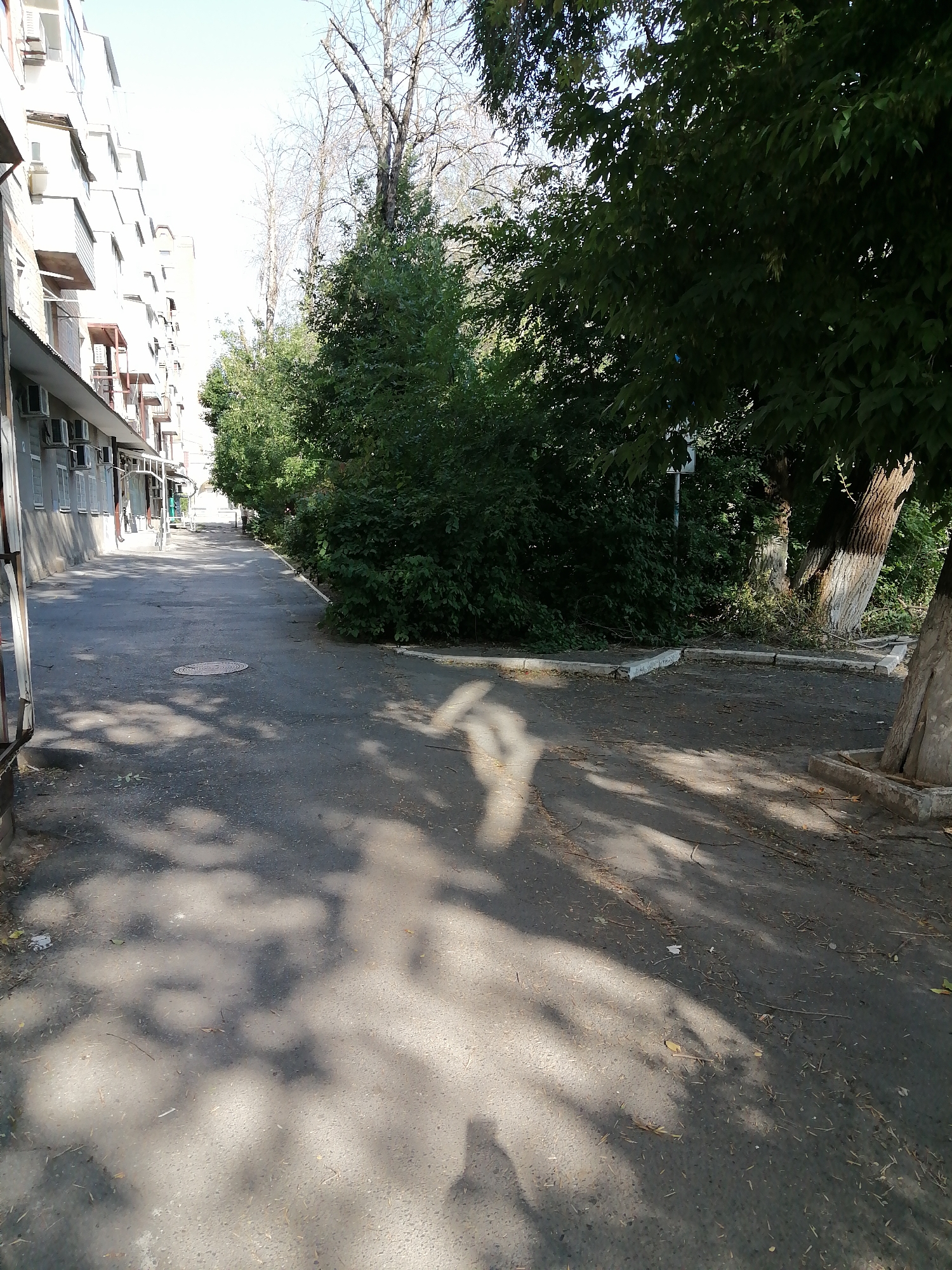 The image depicts an outdoor scene in a city, likely in Rostov-on-Don, Russia, featuring a paved pathway lined by a multi-story building on the left and dense green foliage and trees on the right. The building appears to be an apartment complex with several floors, featuring numerous windows and air conditioning units mounted on its facade. The pathway, made of asphalt, shows signs of wear and is partially covered by fallen leaves and twigs. Sunlight casts dappled shadows across the pathway, indicating a sunny day. In the distance, the pathway leads towards more buildings and trees. The overall impression is of a residential or urban area with a mixture of architectural structures and natural elements.