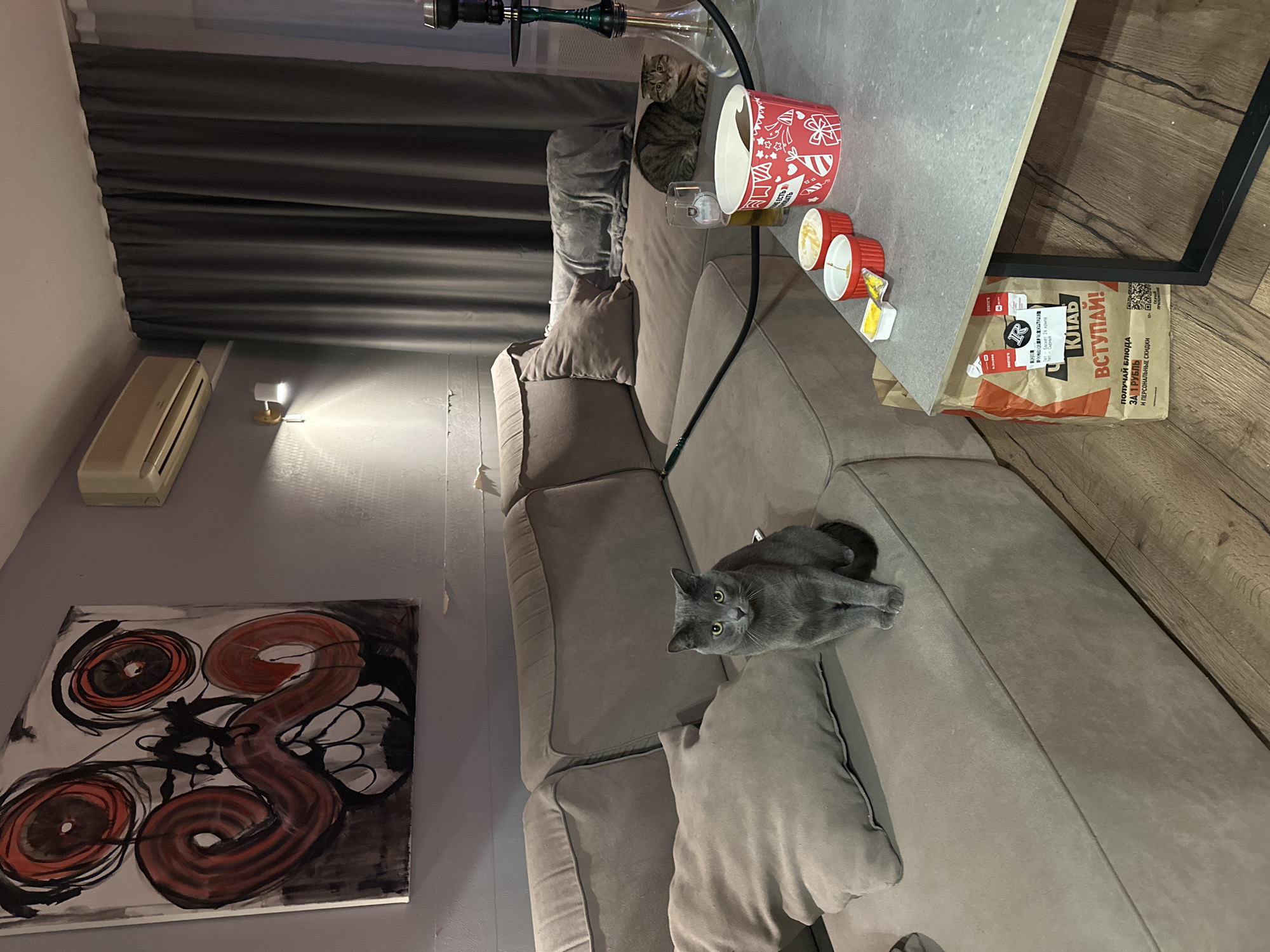 The image shows an indoor scene, likely in a living room or apartment. A large grey sofa dominates the space, with a grey cat lying on it in the foreground. A second cat, with tabby markings, is perched on the back of the sofa, near a round glass table with a hookah on it. The table also has some takeout containers and food items. A paper takeout bag sits on the table. Behind the sofa are grey curtains. On the wall to the left, there's a piece of abstract art and an air conditioning unit. The floor is made of wooden panels. The bag on the table advertises "КЛАБ ВСТУПАЙ!" ("KLAB ENTER!") offering a meal for 1 ruble, which suggests this photo may have been taken in a Russian-speaking area. Based on the text on the takeout bag, it may be Perm, Russia.