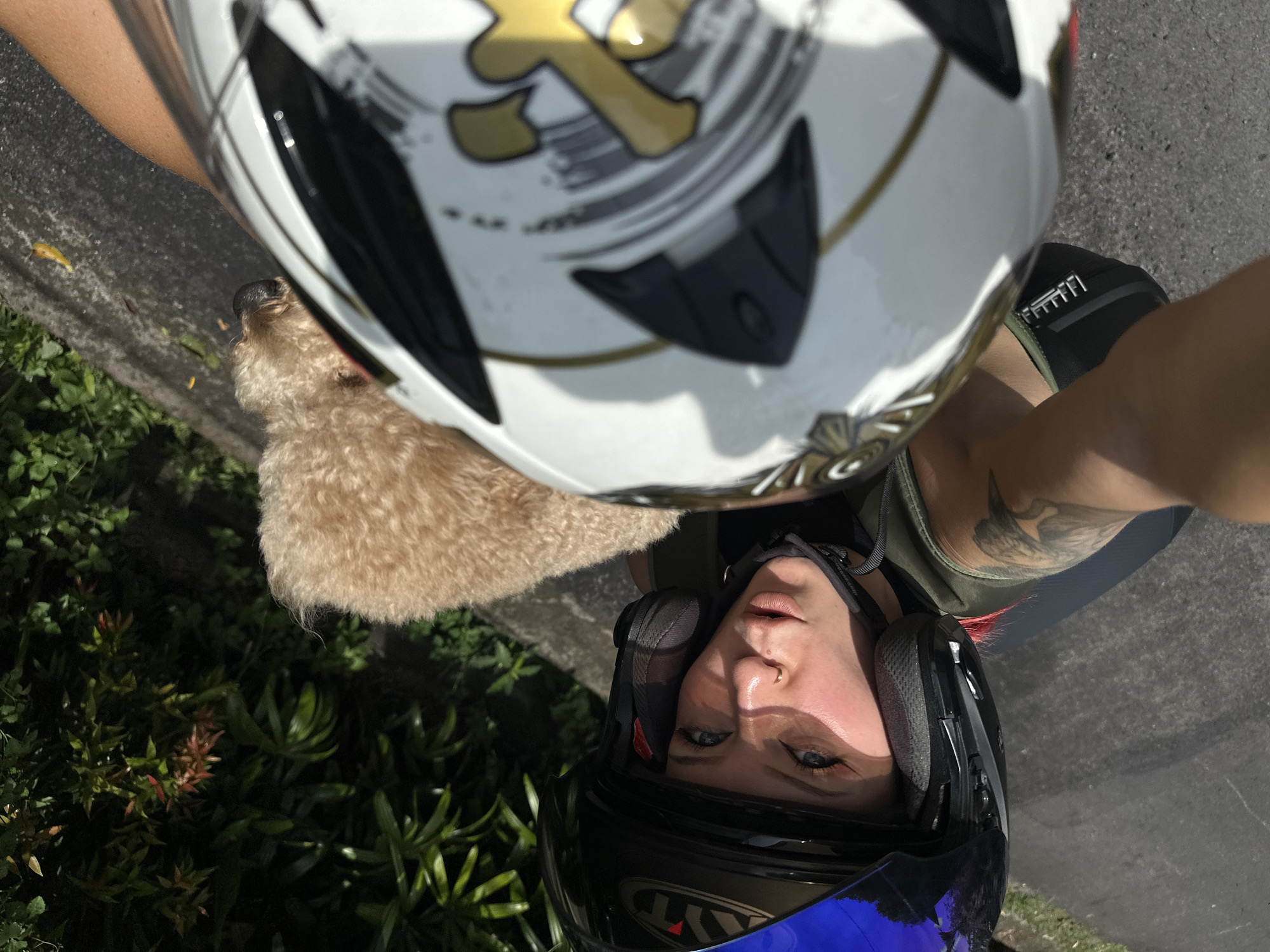 A selfie taken outdoors in North Kuta, Indonesia features a person wearing a black motorcycle helmet with a blue tinted visor, situated below another helmet with a white base, black accents, and a gold symbol. Visible is the person's face with blue eyes, and a small piercing on the left nostril. A light brown dog is positioned between the two helmets. The background includes green foliage and a paved surface. The person has an arm with a tattoo, wearing a sleeveless top.