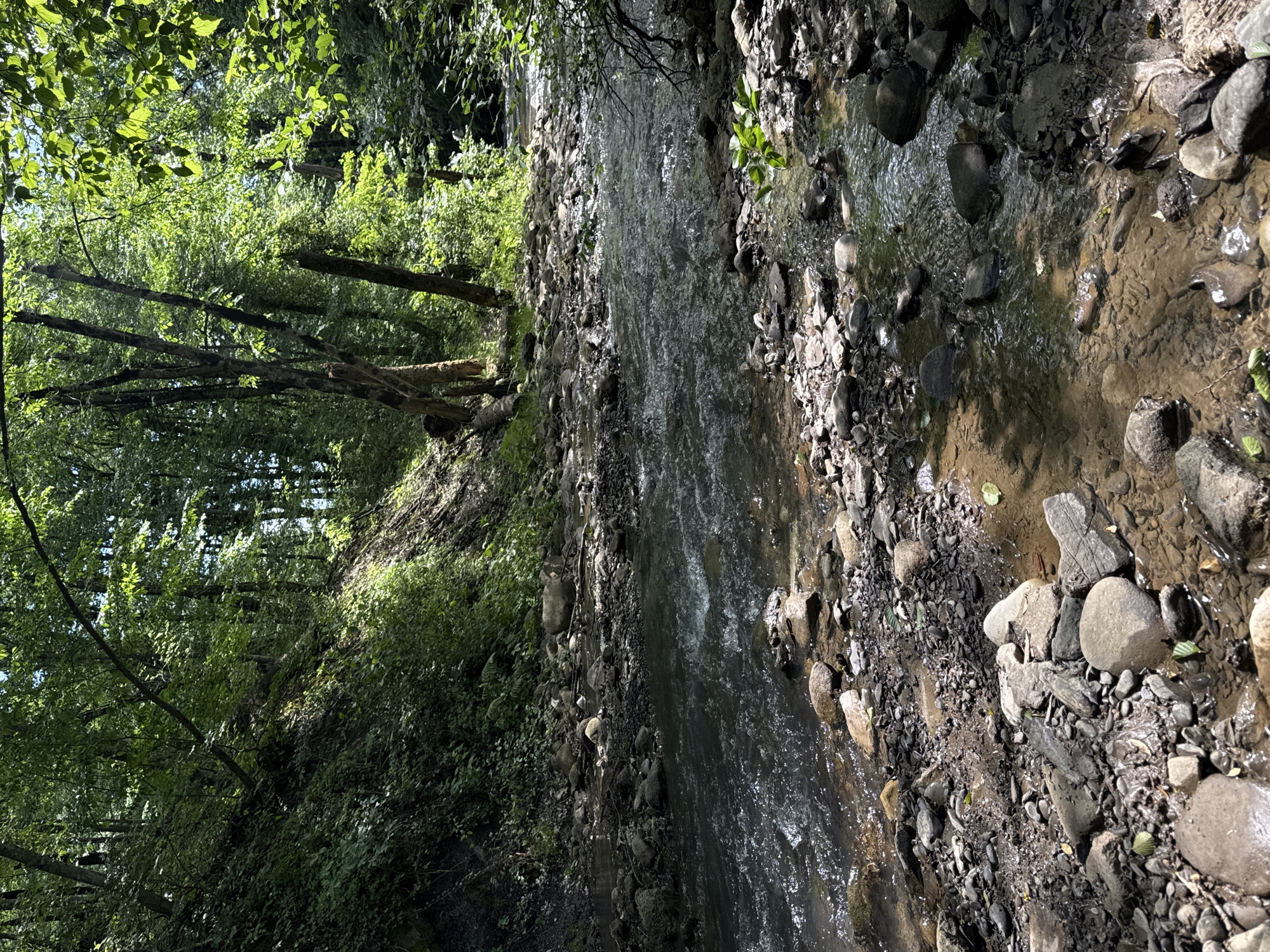 The image shows a stream flowing through a rocky riverbed adjacent to a wooded area. The stream is flowing from top to bottom. The left bank is covered with dense foliage and trees. The right bank is mostly composed of rocks and pebbles of varying sizes, with some vegetation interspersed. The water appears clear and shallow in places, with visible rocks at the bottom. The lighting is dappled, with sunlight filtering through the trees and reflecting off the water and rocks. The location is Indyuk, Russia.
