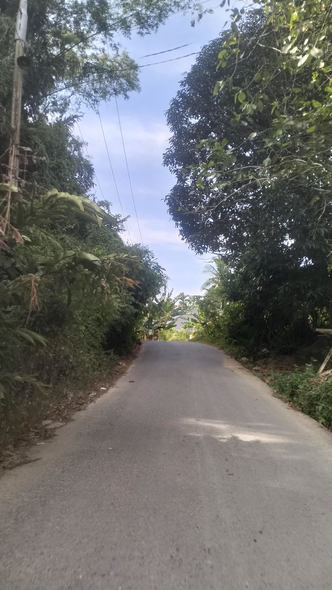 The image depicts a paved road in Meunasahkrueng, Indonesia, bordered by dense foliage and trees. The road curves gently upwards into the distance, where it is partially obscured by vegetation and a few buildings with tiled roofs. Overhead, power lines crisscross the sky between utility poles on the left side of the road. The sky is a light blue with scattered white clouds. The overall impression is a rural or semi-rural setting with natural elements dominating the landscape. There are no people or animals visible in the image.