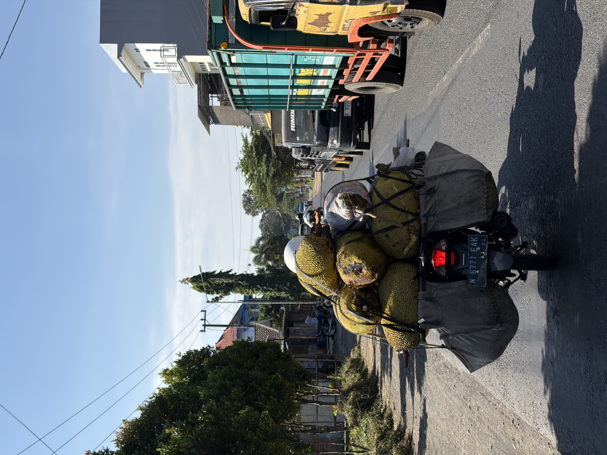 The image shows a motorcycle loaded with jackfruits on a road in Pagedangan, Indonesia. The motorcycle, with license plate N 6771 EAK, is heavily laden with a large pile of jackfruits secured with straps. Two large canvas bags hang on either side of the motorcycle. A person wearing a white helmet is visible on the motorcycle. The motorcycle is in motion, heading forward on a paved road. To the right of the motorcycle, a yellow truck and a teal truck are in traffic, indicating a moderately busy road. In the background, there are trees, buildings, and utility poles, consistent with an urban or semi-urban environment. The sky is clear and blue, suggesting a sunny day.