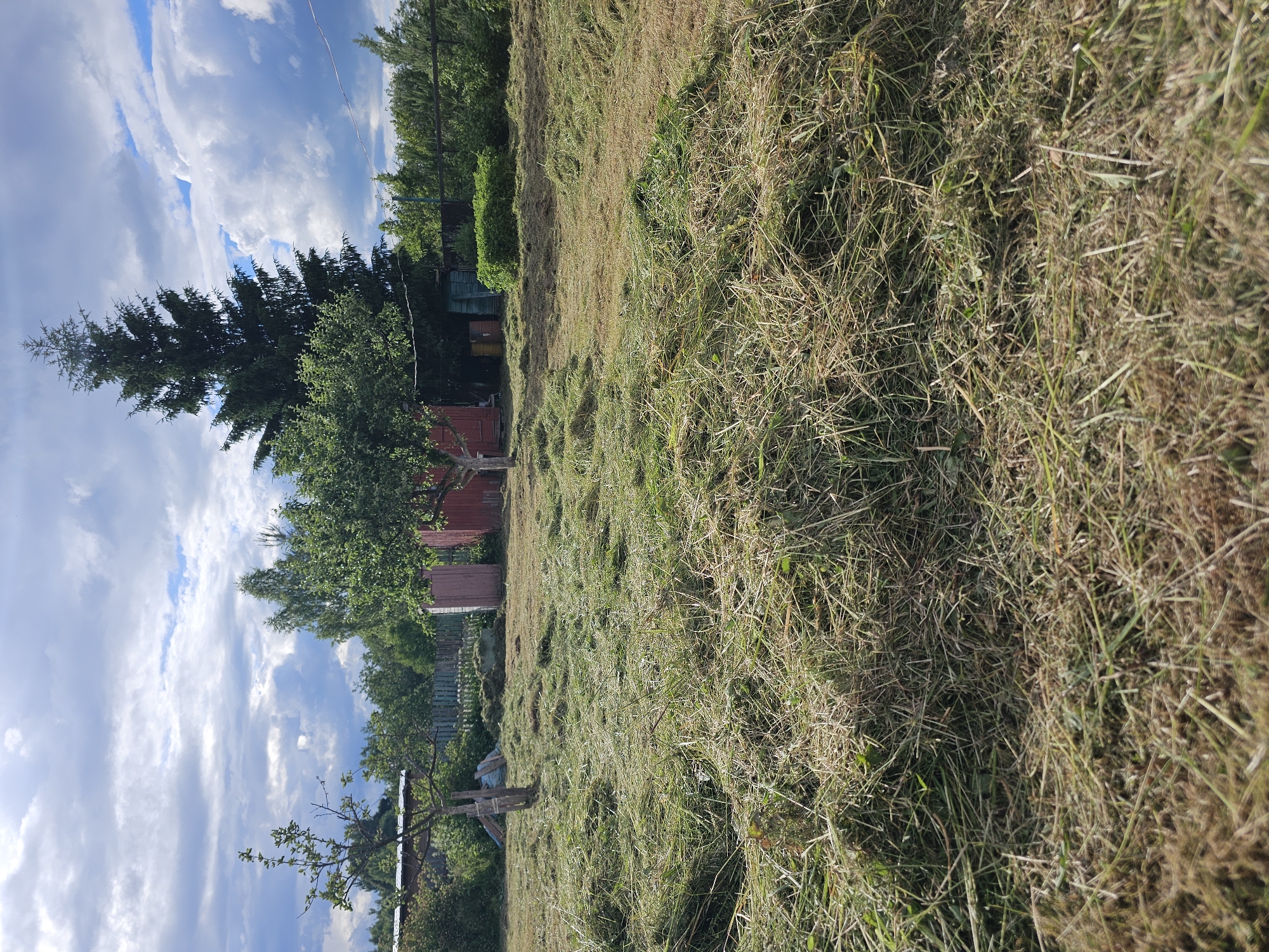The image depicts a rural scene in Chukholovo, Russia, with a focus on a mown field in the foreground. The field is covered in cut grass, suggesting recent agricultural activity. In the background, a fence separates the mown area from a wooded area with trees and a tall evergreen. Several structures are visible behind the fence, including what appears to be a small red building, possibly a shed or outbuilding, and some barrels. The sky above is partly cloudy with dramatic cloud formations, indicating a dynamic weather pattern. The overall impression is one of a working farm or dacha in a natural setting.