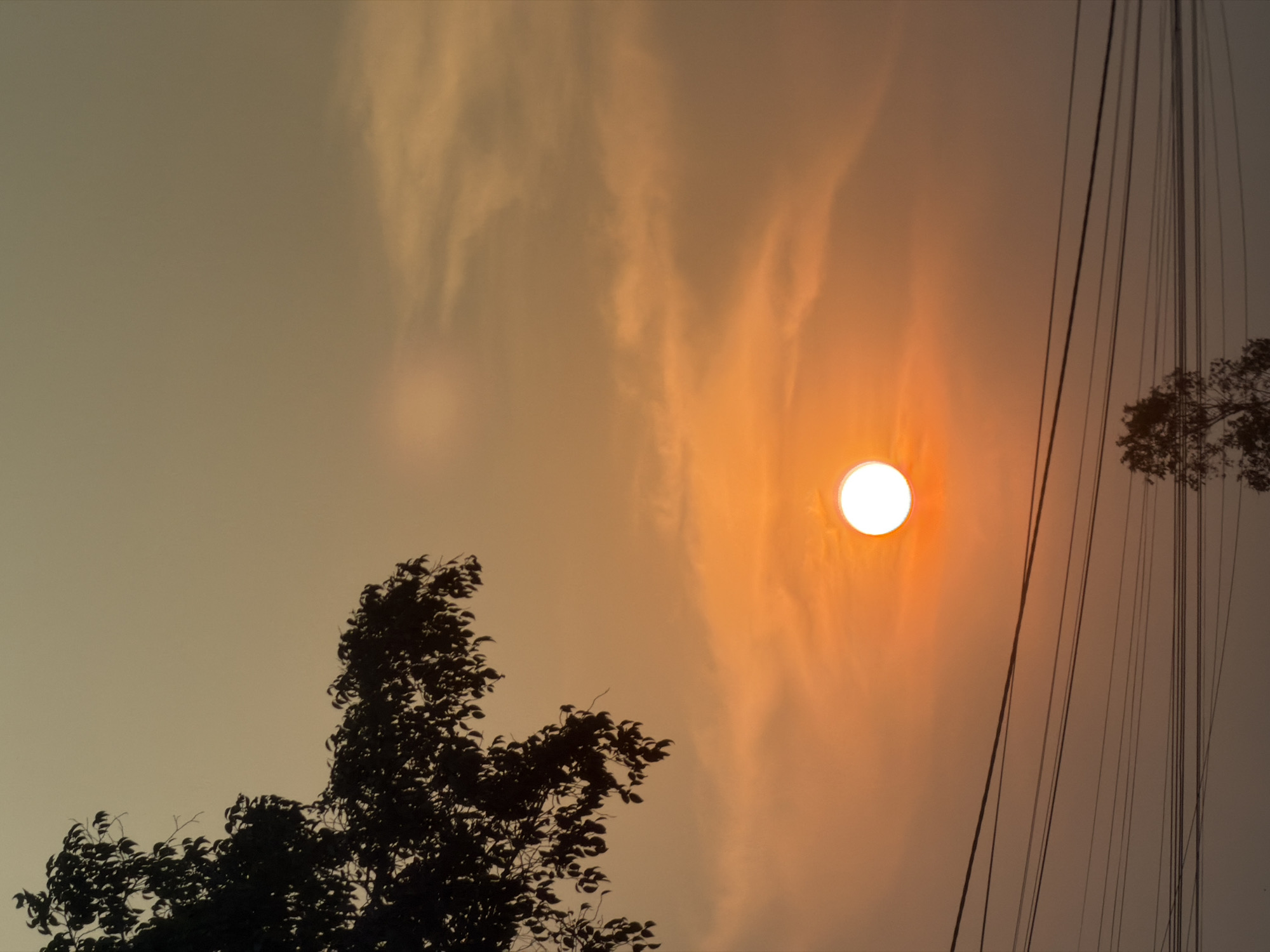 The image, captured in Binh Hiep, Vietnam, depicts a hazy sunset or sunrise. The sky dominates the scene, featuring a gradient of warm colors, from muted grey-brown in the upper left to vibrant orange and warm brown tones around the sun.
The sun is a prominent subject, appearing as a brilliant white circle with an intense orange halo, positioned towards the upper right side of the frame (when viewed upright). Its light is diffused by atmospheric haze or thin clouds, creating a soft, warm glow across the sky and obscuring clearer details of the cloud formations.
In the lower left quadrant, the silhouette of a large tree with dense foliage is starkly outlined against the bright sky. Its branches and leaves are clearly visible in their dark, shadowy form. On the right side of the image, multiple dark, thin utility lines or power cables run vertically, cutting across the sky. A smaller, partially visible tree silhouette can be seen in the upper right, seemingly intertwined with some of these lines.
The scene conveys a tranquil mood, characteristic of dawn or dusk. There is no visible human activity or text. The overall impression is one of natural beauty in a semi-urban setting, with a strong emphasis on the warm, diffused light of the sun at the edge of the day.