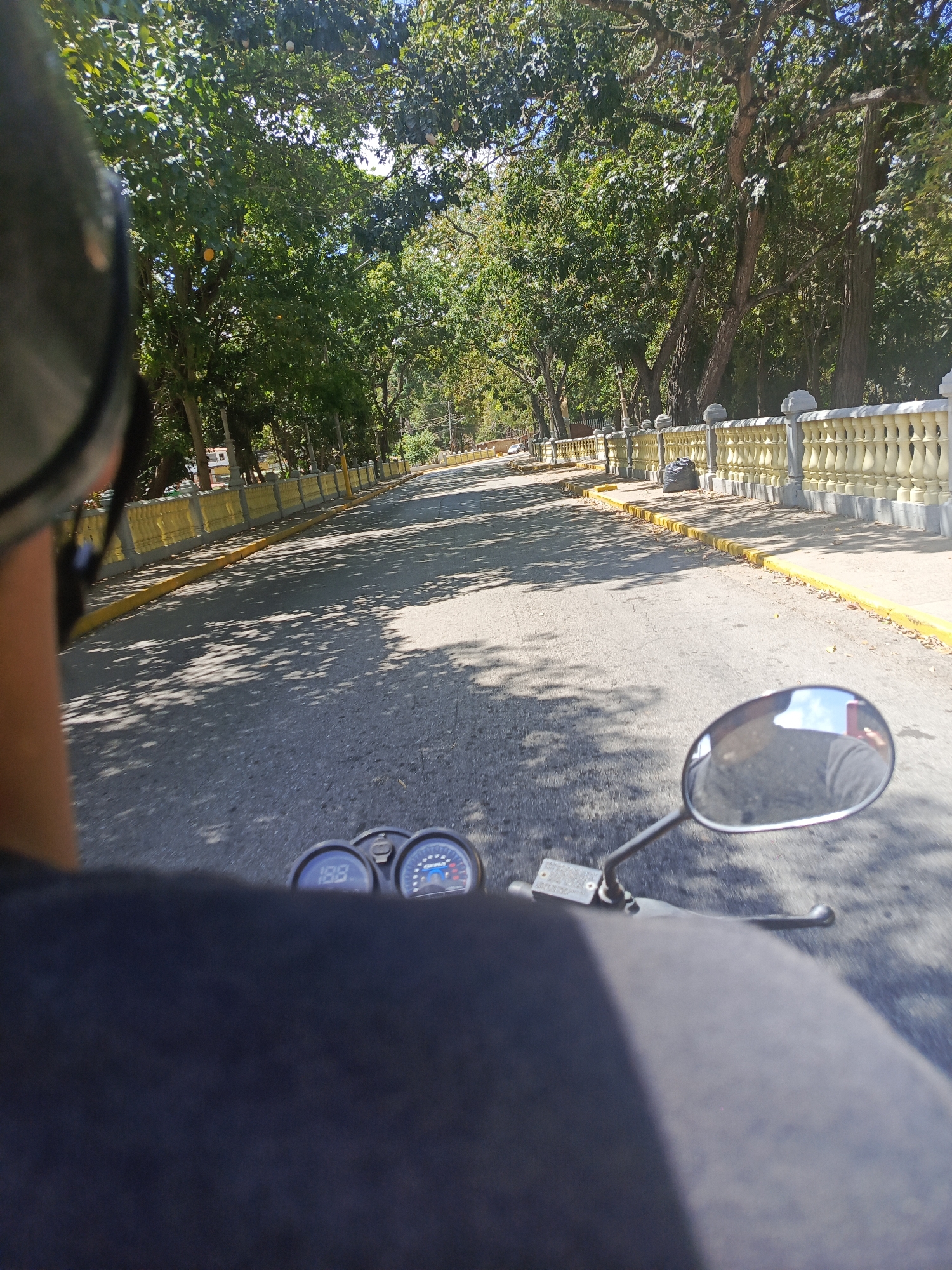 The image shows a first-person view from a person riding a motorcycle along a paved road in La Asuncion, Venezuela. The rider is wearing a helmet, with a portion visible in the upper left corner. The motorcycle's handlebars, side mirror, and instrument panel are visible. The instrument panel shows the speed to be 18.8. The road stretches forward, flanked on both sides by a low, ornate fence painted with white and yellow. Trees line the road, creating a canopy that casts shadows on the pavement. The fence runs alongside a sidewalk on either side. A black trash bag sits next to the fence on the right side of the road. The scene appears to be outdoors on a sunny day.