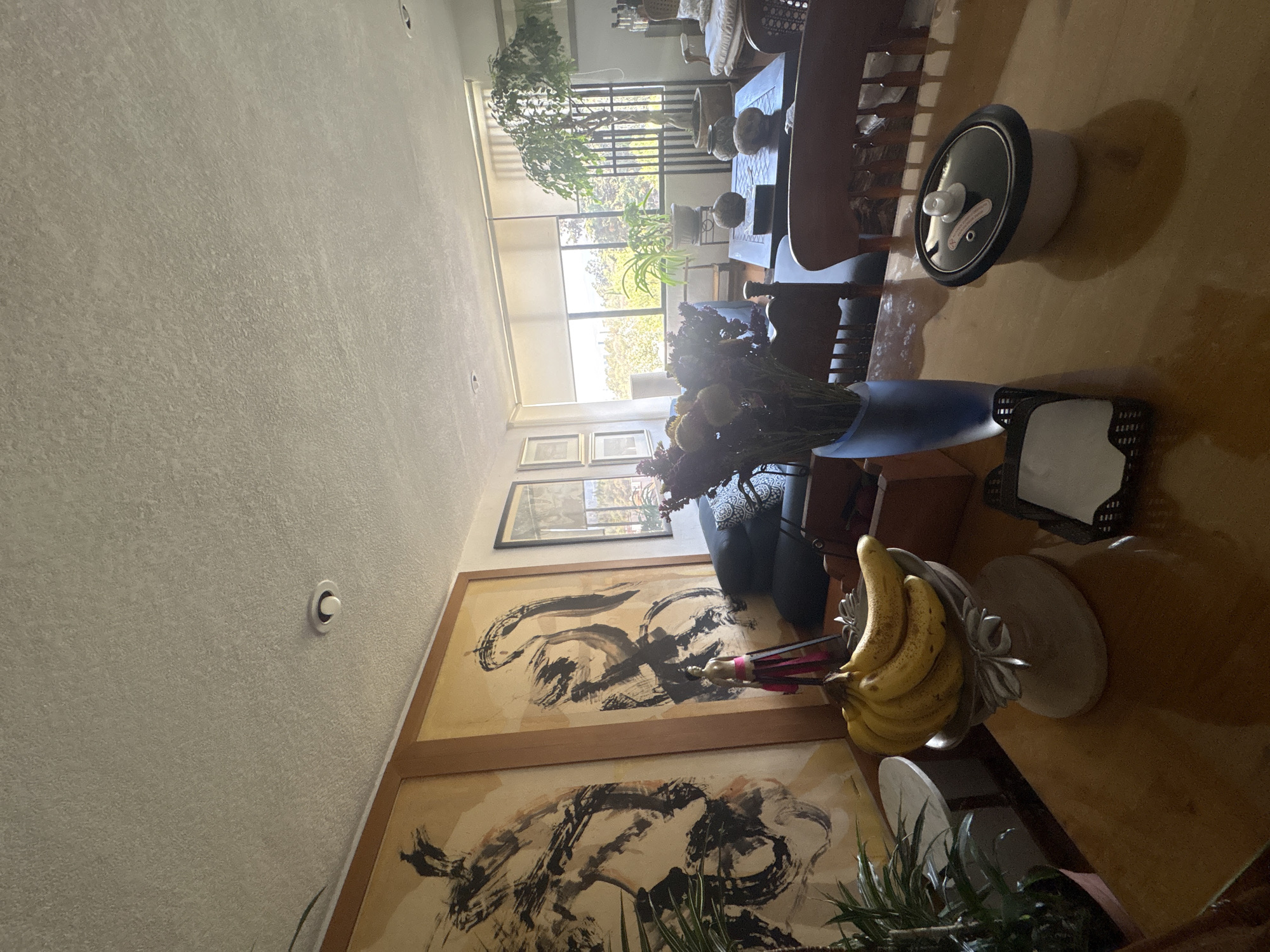 This oblique, brightly lit daytime image captures a corner of a warm-toned room, likely a dining or living area, in Mexico City, Mexico. The space features textured walls, a light-colored ceiling with recessed lighting, and a view of lush greenery through large windows in the background.
In the foreground, a bunch of yellow bananas rests in a decorative, silver-colored stand or bowl on a polished, light brown surface. Next to the bananas, a small figurine or doll in pink and red attire is visible. A dark blue vase holds a bouquet of dried or dark-hued flowers. Further along the surface, a black tissue box holder is present, and a white and black appliance, resembling a rice cooker, with a distinct black lid and white handle/valve, is visible. A small, unreadable white sticker with a red symbol and black text is affixed to the lid.
The wall on the left is adorned with multiple framed artworks. Two large, horizontally oriented frames display abstract, brushstroke-style paintings in black on a light background. Above these, several smaller framed pictures are hung. A dark-colored, possibly embroidered cushion or pillow can be seen on a chair or sofa in the mid-ground.
Towards the background, a dining table with chairs is partially visible, and various potted plants add to the indoor greenery. Beyond the windows, a vibrant outdoor scene with trees and natural light is apparent, suggesting a clear day. The overall impression is that of a comfortably furnished and well-lit interior space.
