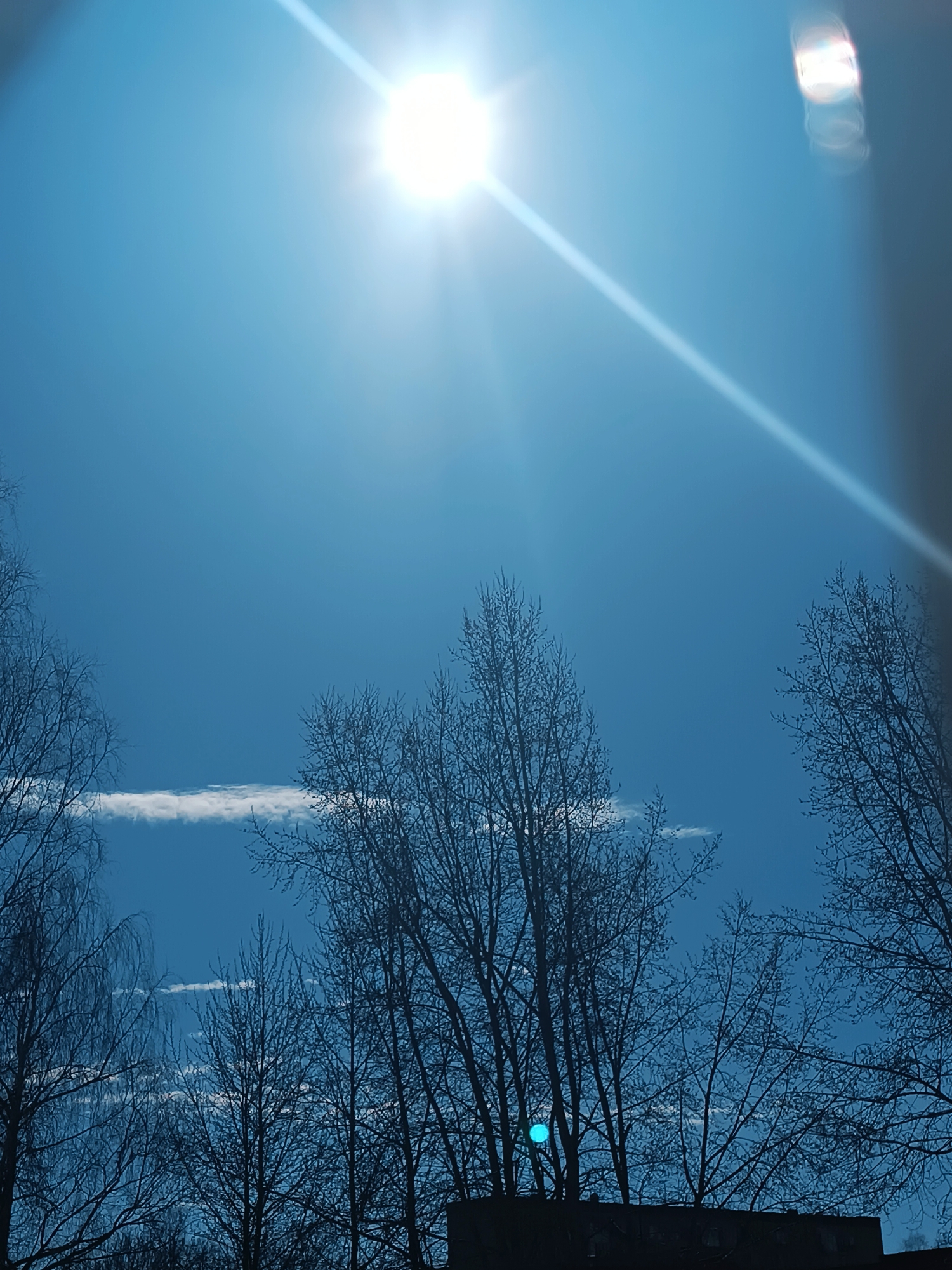 The image shows a bright, sunny sky in Izhevsk, Russia. The sun is positioned near the top of the frame, with a distinct ray of light extending downwards. A few wispy clouds are visible in the middle-ground. Silhouetted tree branches occupy the lower portion of the image, appearing leafless. A dark, horizontal structure, possibly the top of a building, can be seen at the base of the trees. A blue orb is visible just above this structure, possibly a lens flare.