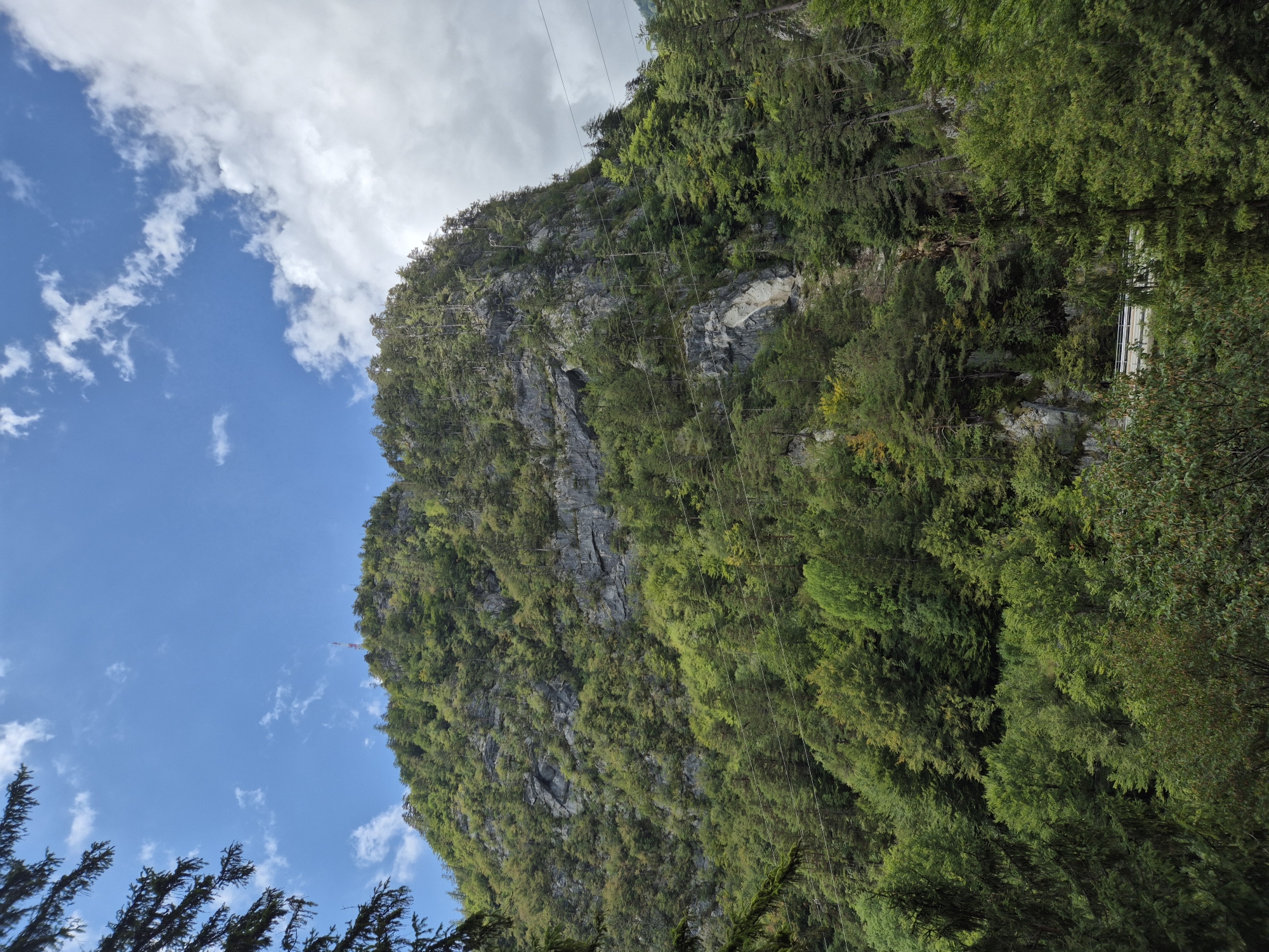 The image shows a steep, rocky mountainside covered in dense green forest. The mountain is dominated by trees, with a few sparse patches of exposed rock. The sky above is a bright blue with scattered white clouds. Power lines are visible stretching across the image in the middle ground. In the far distance, at the very top of the mountain, a communication tower with a red and white antenna is visible. At the bottom of the image, a portion of a road with a white guardrail can be seen peeking through the trees. This scene is located in the vicinity of Ferlach, Austria.