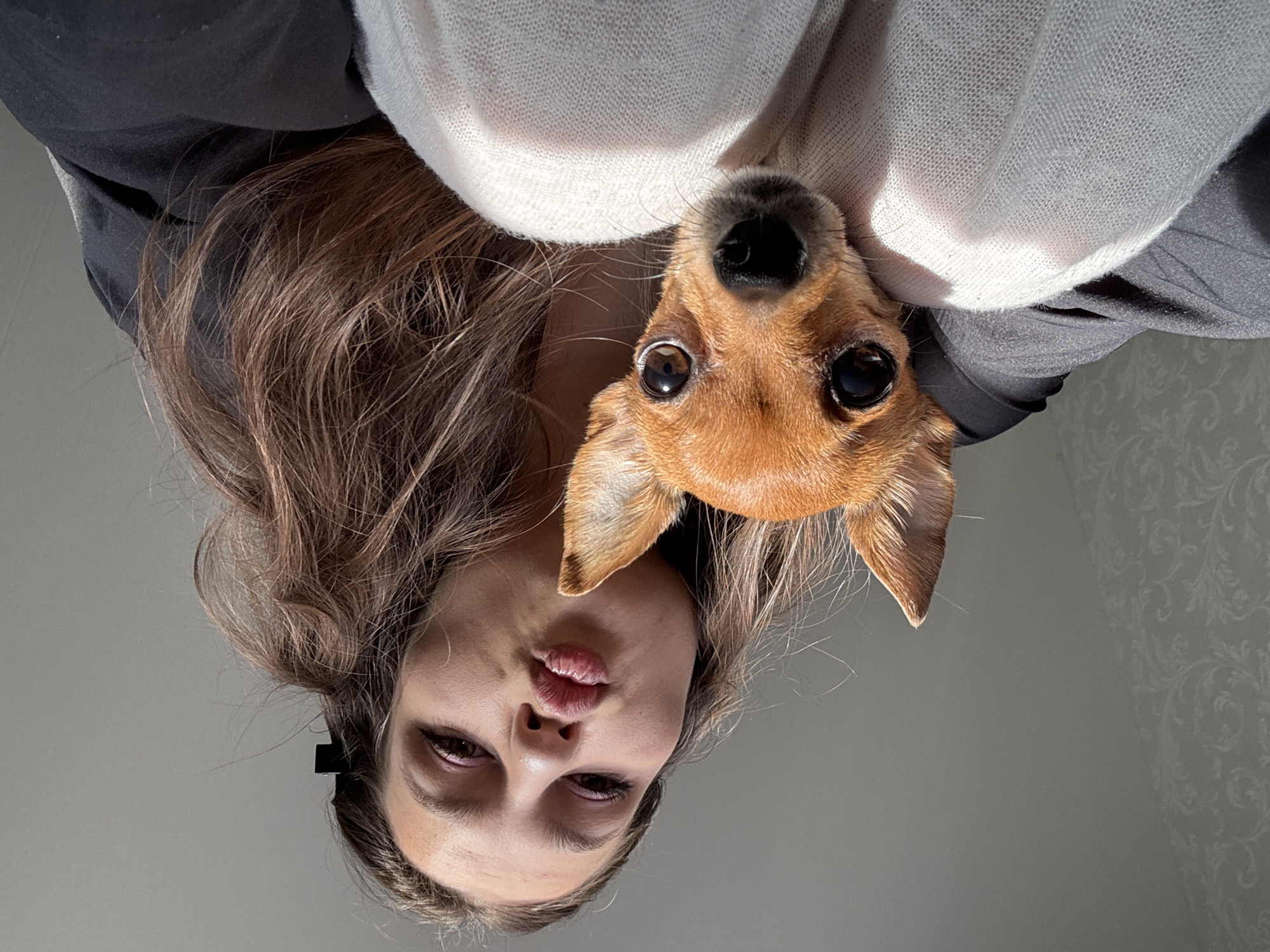 A woman and a small, brown dog are posed together in what appears to be a selfie. The woman, with light brown hair and fair skin, is looking directly at the camera with a pouting expression. She has a black hair clip in her hair. The dog, positioned above her head, is also looking at the camera. A white sweater or blanket is draped around the woman, partially obscuring her and the dog. The background is a light gray, suggesting an indoor setting, with a slightly visible wallpaper pattern on the right side. The location is the city of Chaikovsky, Russia.