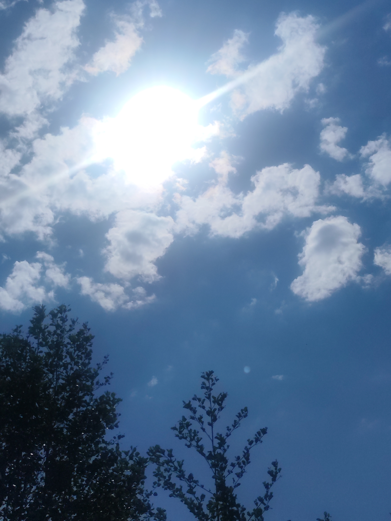 The image captures a view of the sky with scattered cumulus clouds and the sun partially obscured by a cloud bank, creating a bright glare. Below, the silhouettes of trees are visible in the lower portion of the frame. Due to the lack of specific landmarks or identifiers, it's impossible to confirm the location as Chaikovsky, Russia, or any specific city without additional context. There are no visible people, objects, actions, or interactions within the image. The environment suggests a daytime setting with a mix of sunshine and clouds, possibly indicating partly cloudy weather.