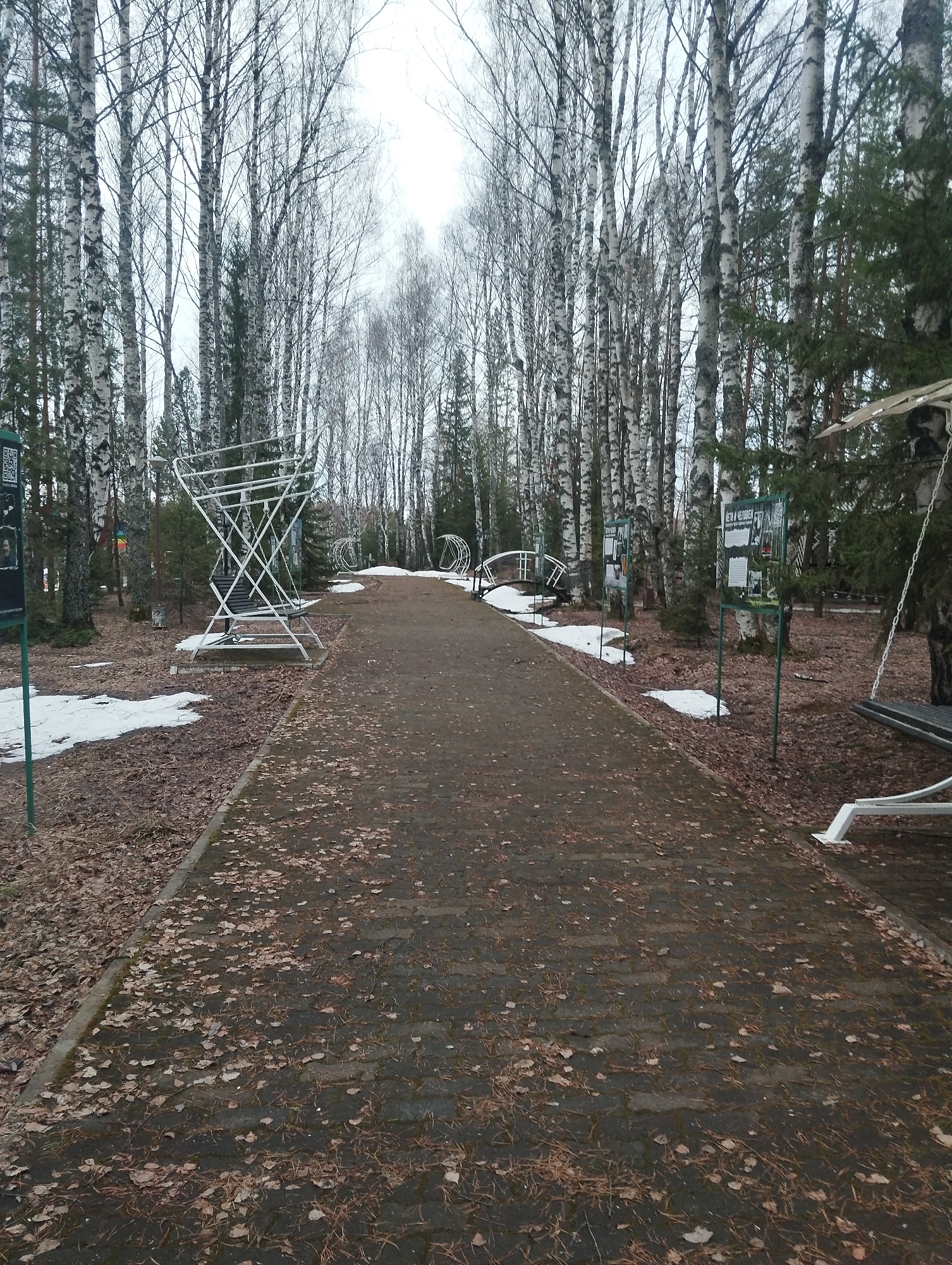 The image depicts a paved path in a park setting. The path is lined with bare birch trees, and the ground is covered with fallen leaves and patches of snow. Various metal structures resembling swings or benches are visible along the path. Additionally, there are several informational signs posted along the path. The scene appears to be in Galevo, Russia.