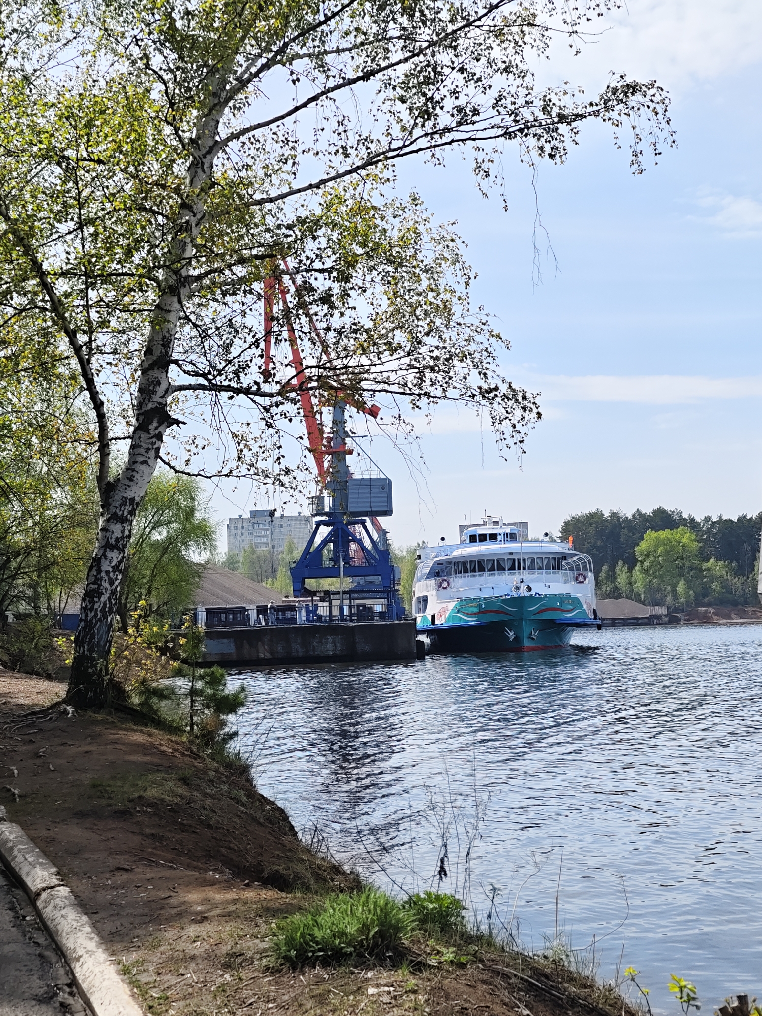 The image captures a river scene in what is likely Chaikovsky, Russia, featuring a hydrofoil passenger ferry docked alongside a concrete pier. The ferry is painted in green, white, and blue, and has a multi-deck design. A large crane, with a blue base and red arm, is positioned on the pier near the ship. Behind the crane is a dark mound that might be coal or another raw material.
In the foreground, a riverbank slopes down to the water's edge, with some sparse vegetation and a young pine sapling. A birch tree stands on the bank, its white bark contrasting with the earthy tones of the soil. In the background, apartment buildings are visible, indicating an urban setting. The water is slightly rippled, and the sky is light blue with scattered clouds. The overall scene depicts a blend of industrial and natural elements on the Kama River, which runs through Chaikovsky.