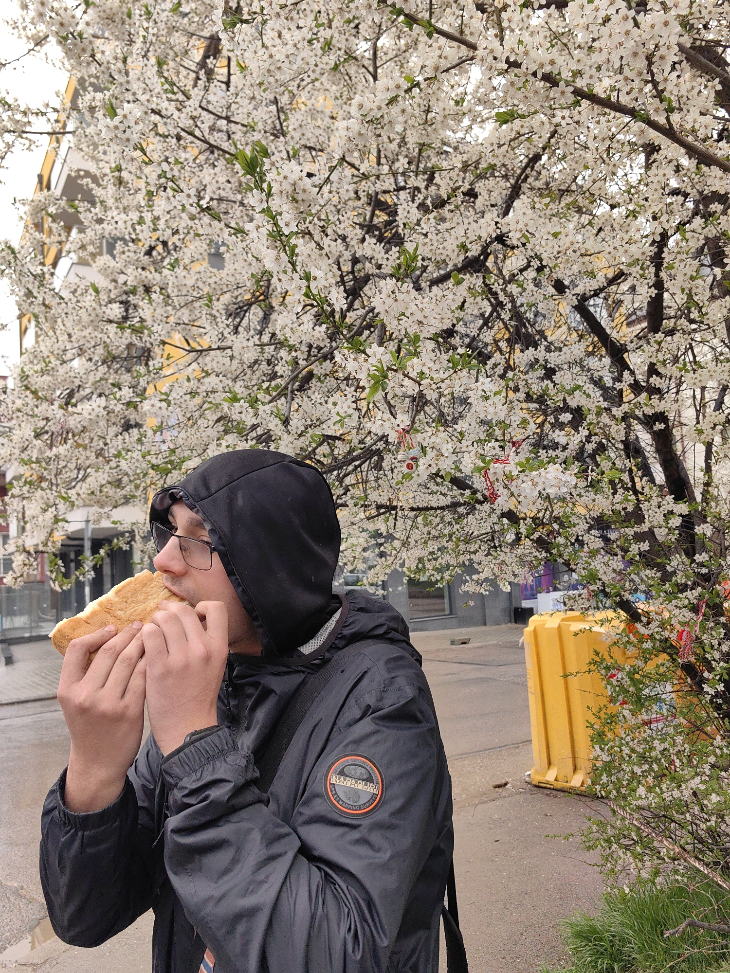 A man is eating a large sandwich outdoors. He is wearing a black hooded jacket and glasses. The background includes a flowering tree with white blossoms, a yellow building, a yellow plastic barrier, and a sidewalk. The image was taken in Sofia, Bulgaria.