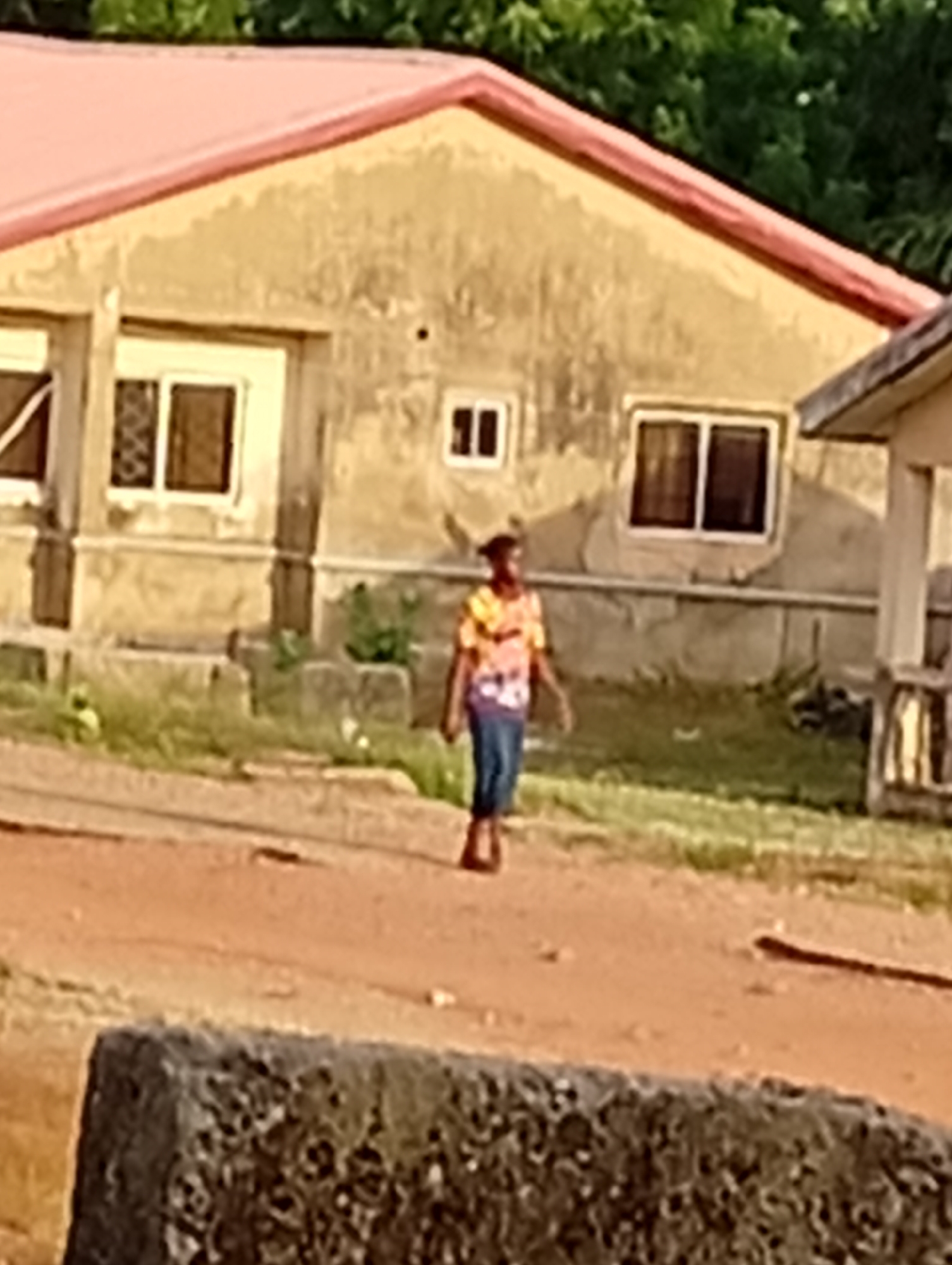 The image depicts a person walking on a dirt road in Adankolo, Nigeria. A tan-colored building with a red roof is visible in the background. The building has multiple windows. Vegetation is present between the road and the building. In the foreground is a concrete block.