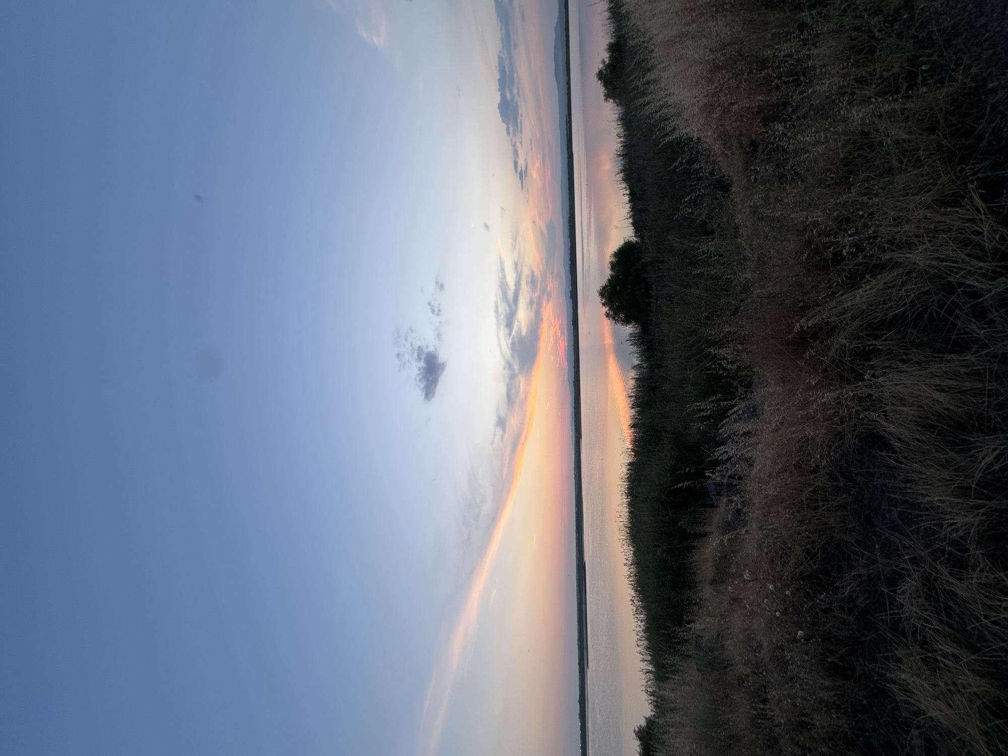 This is a landscape photograph taken at sunset, overlooking the Pomorie Lagoon in Pomorie, Bulgaria. The sky transitions from a clear, pale blue at the top to hues of pink, orange, and yellow near the horizon, indicating the setting sun. wispy clouds stretch across the sky, catching the warm light. The lagoon occupies the middle ground, its surface smooth and reflective, mirroring the colors of the sky and the distant shoreline. A line of dense green vegetation, likely reeds or marsh grass, runs along the edge of the lagoon in the foreground. Beyond the lagoon, a low, dark line of hills or mountains is visible on the horizon. The immediate foreground is dominated by dry, golden-brown grasses and some dried seed heads, suggesting a late summer or early autumn setting. The overall atmosphere is serene and tranquil. There are no people or animals visible in the image.