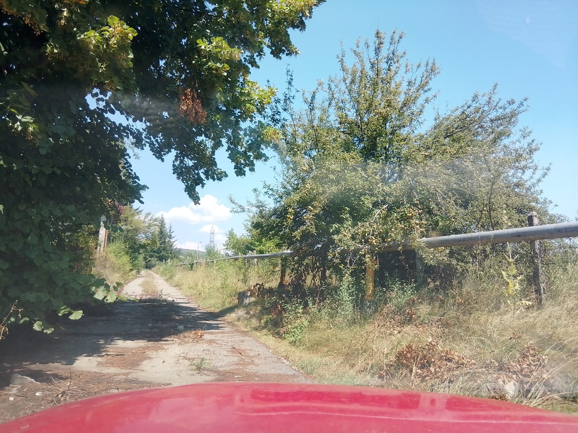 The image shows a red vehicle's hood in the foreground, obscuring the bottom portion of the scene. Beyond the vehicle, a dirt road stretches into the distance, lined with overgrown vegetation and trees. On the left, dense foliage creates a shaded area, while on the right, dry grass and bushes are visible, interspersed with a metal pipe and wooden posts forming a fence. The road is uneven, with patches of loose gravel and dirt. In the background, more trees and distant structures, including what appears to be a power line tower, are visible against a clear blue sky. The overall impression is of an unkempt, rural or semi-abandoned area on a sunny day.