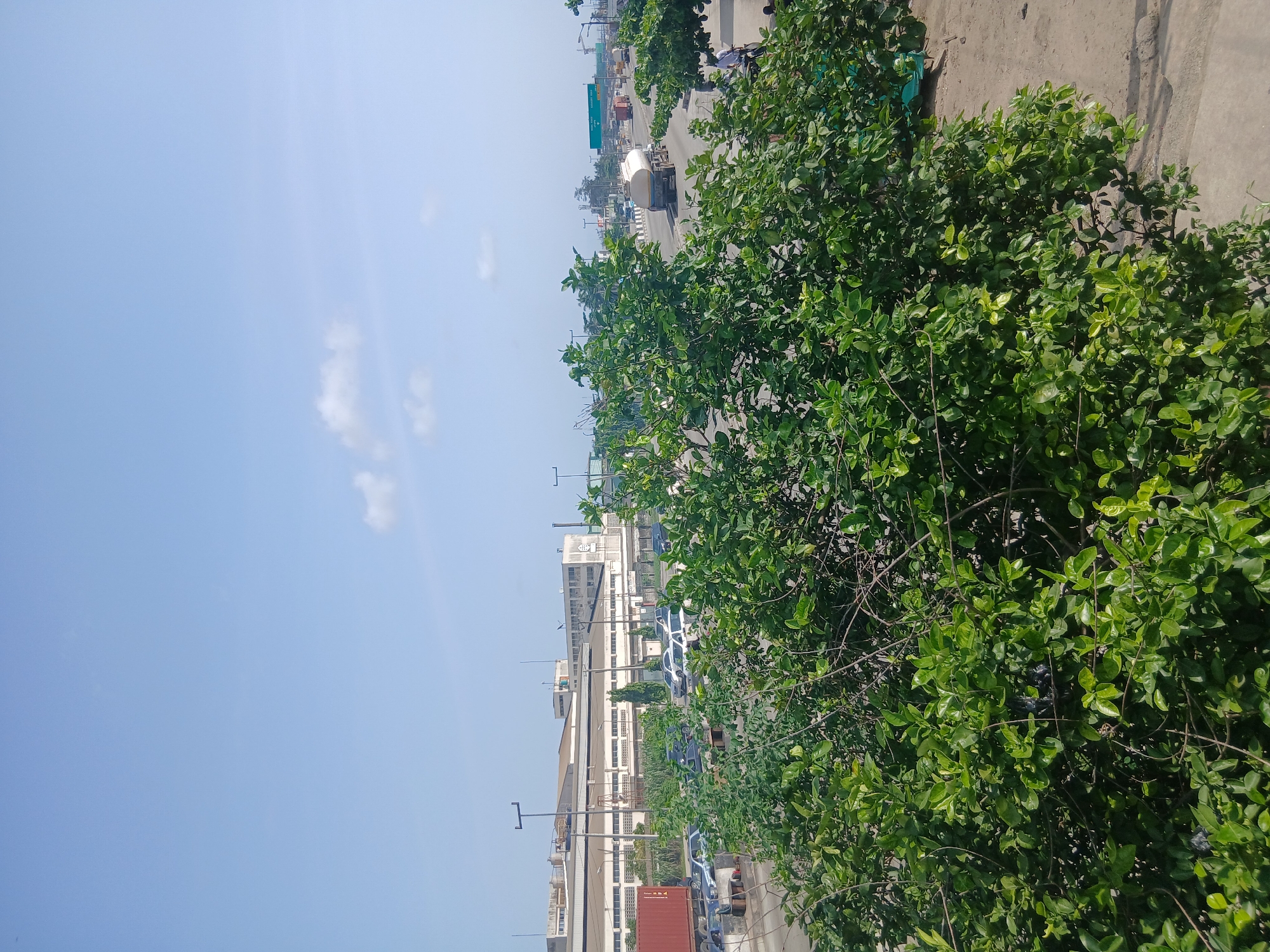 The image shows an elevated view of a street scene in Lagos, Nigeria, characterized by a bright, blue sky with scattered clouds. A busy roadway filled with vehicles, including a white tanker truck, is visible through a dense, green foliage. Adjacent to the road, a large industrial building is observed. The entire scene is captured from a high angle, likely from a building.