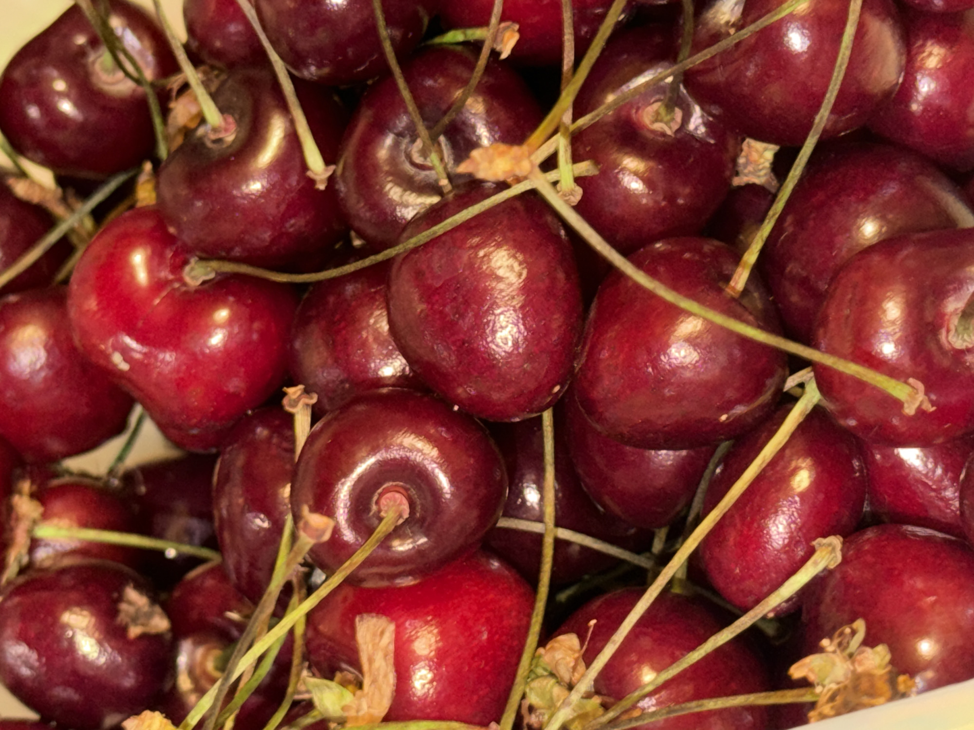 A close-up, overhead shot showcases a pile of ripe, dark red cherries with thin green stems. The cherries are plump and glossy, with some reflecting light, suggesting a moist surface. The stems are visible, some intertwined, indicating they are still attached to the fruit. A sliver of a light-colored container, possibly a bowl or carton, is visible in the lower left corner. The image is focused on the cherries, creating a soft, slightly blurred background of more fruit. The lighting appears to be natural or soft artificial light, highlighting the texture and rich color of the cherries. This image does not contain any information that could identify a specific location in Khimki, Russia.