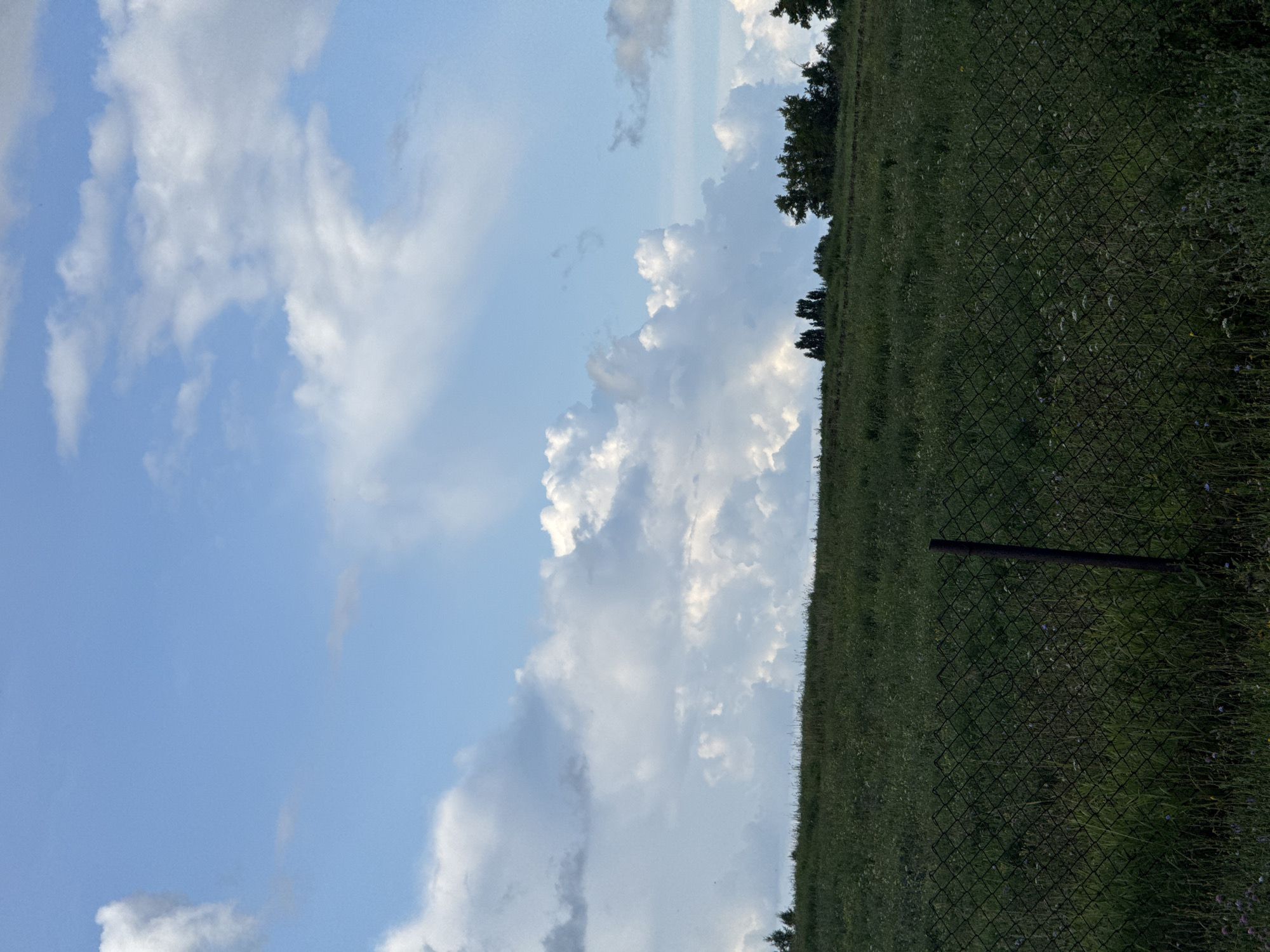 An outdoor, vertical, eye-level shot captures a serene landscape under a partly cloudy sky. The foreground is dominated by a dark green, chain-link fence with a single, dark brown metal post visible. Beyond the fence, a rolling hill is covered in dense, lush green grass dotted with wildflowers. A line of dark green trees forms a silhouette against the horizon, with more trees scattered further back. The sky is a vibrant blue, with large, fluffy white and gray clouds drifting across it, creating a dramatic contrast with the lower landscape. The scene appears to be in a rural or semi-rural location, with no people or animals present. The lighting suggests it is daytime, possibly late afternoon, with the sun casting a soft glow on the scene.