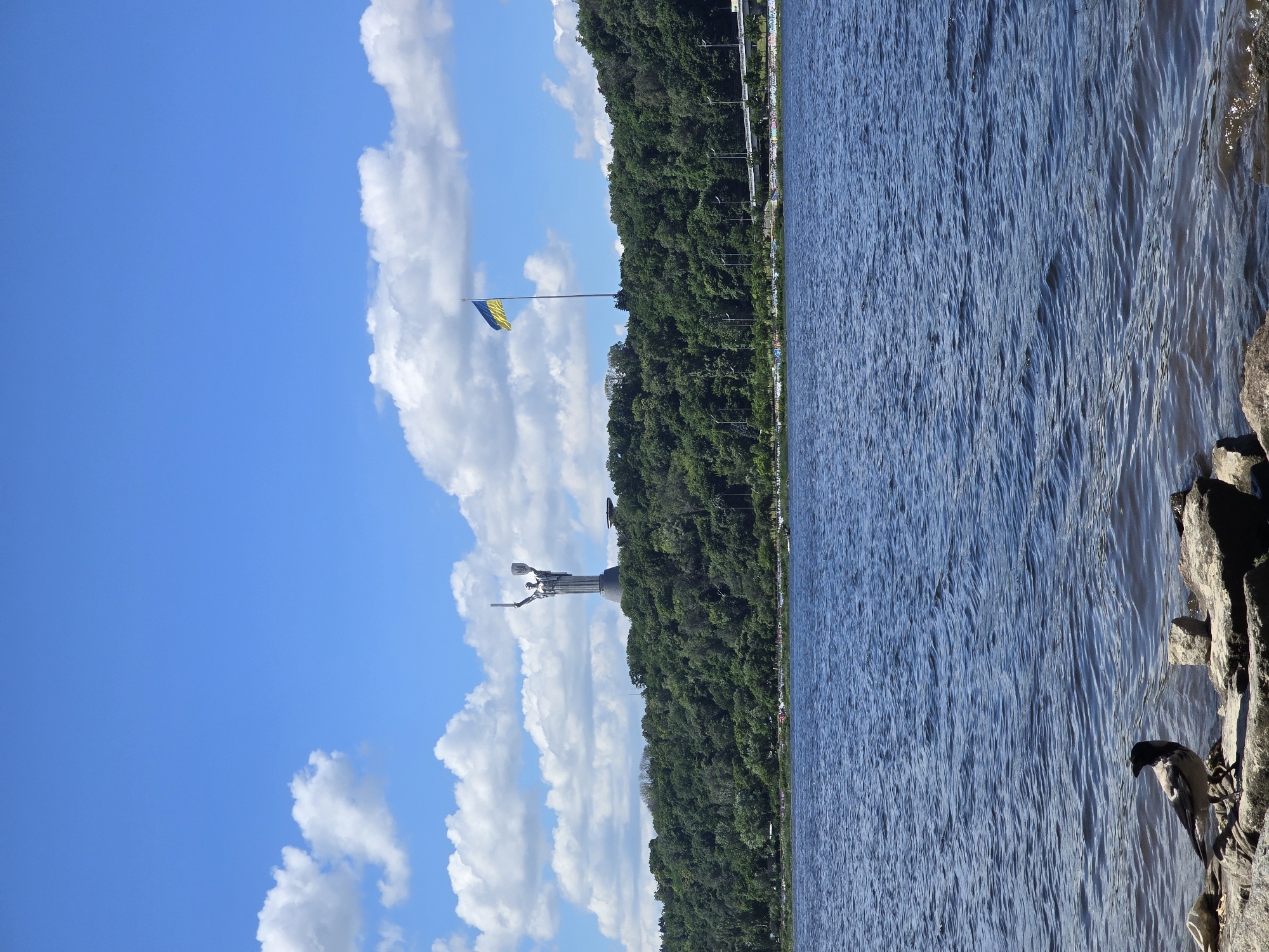 The image captures a scenic view of the Dnipro River in Kyiv, Ukraine, on a bright, partly cloudy day. In the foreground, a crow stands on a rocky shore, its dark feathers contrasting with the lighter stones. The river stretches across the lower half of the frame, its surface rippling under the sunlight.
Dominating the background is a lush, green hillside covered with dense trees. Perched atop this hill, a towering monument, the Motherland Monument, stands silhouetted against the sky, its sword and shield held aloft. To its right, a large Ukrainian flag, its blue and yellow colors vibrant, flies proudly from a tall flagpole. A highway bridge is visible in the distance, spanning across the top of the hill. The overall impression is one of natural beauty and national pride.