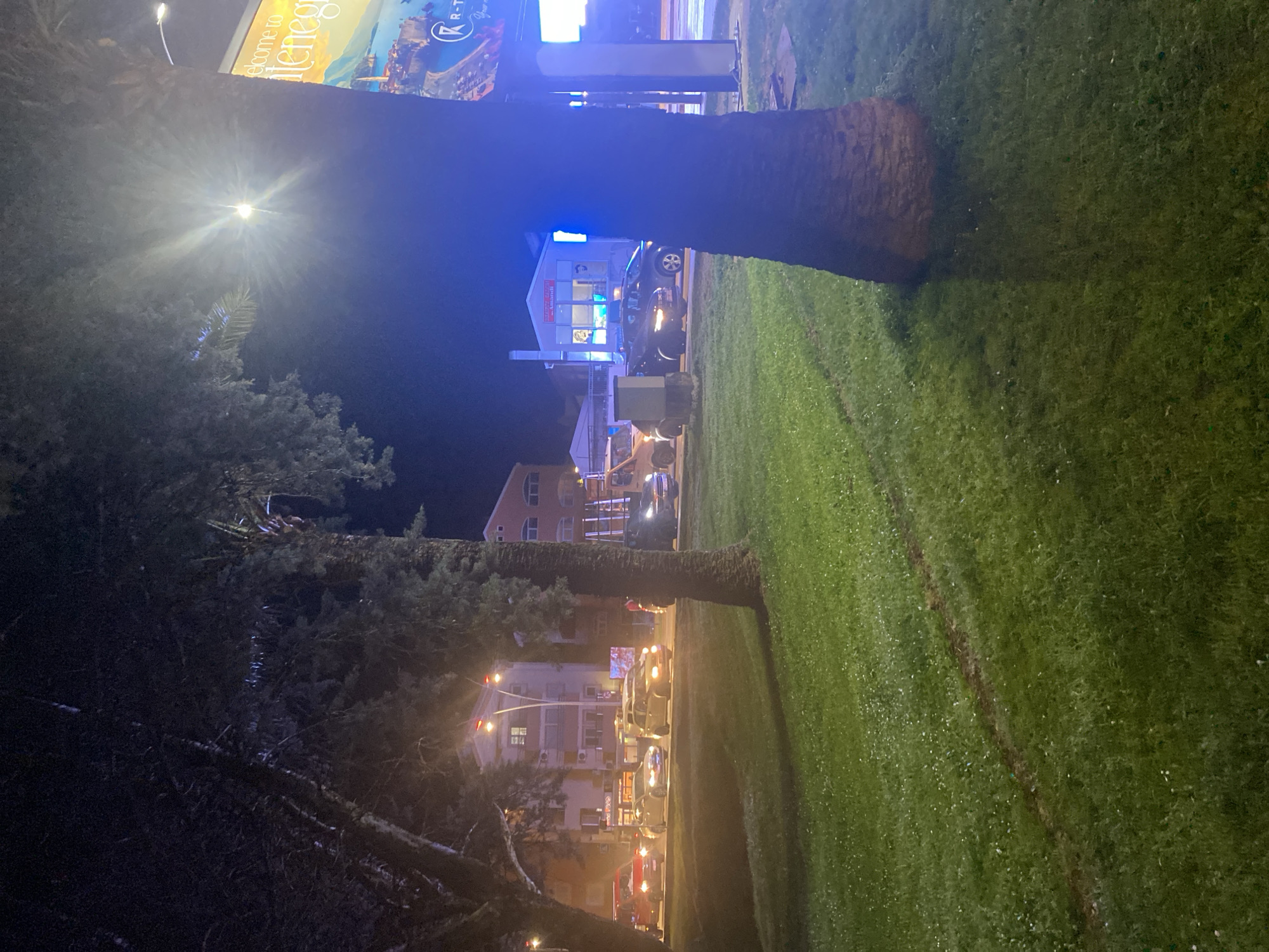 The image shows an urban night scene in Budva, Montenegro. In the foreground, there is a grassy area and parts of tree trunks. In the middle ground, buildings and streetlights illuminate a road with cars. Further in the background, there are more buildings and a blue-lit structure. The sky is dark. A light post is visible to the left of the building.