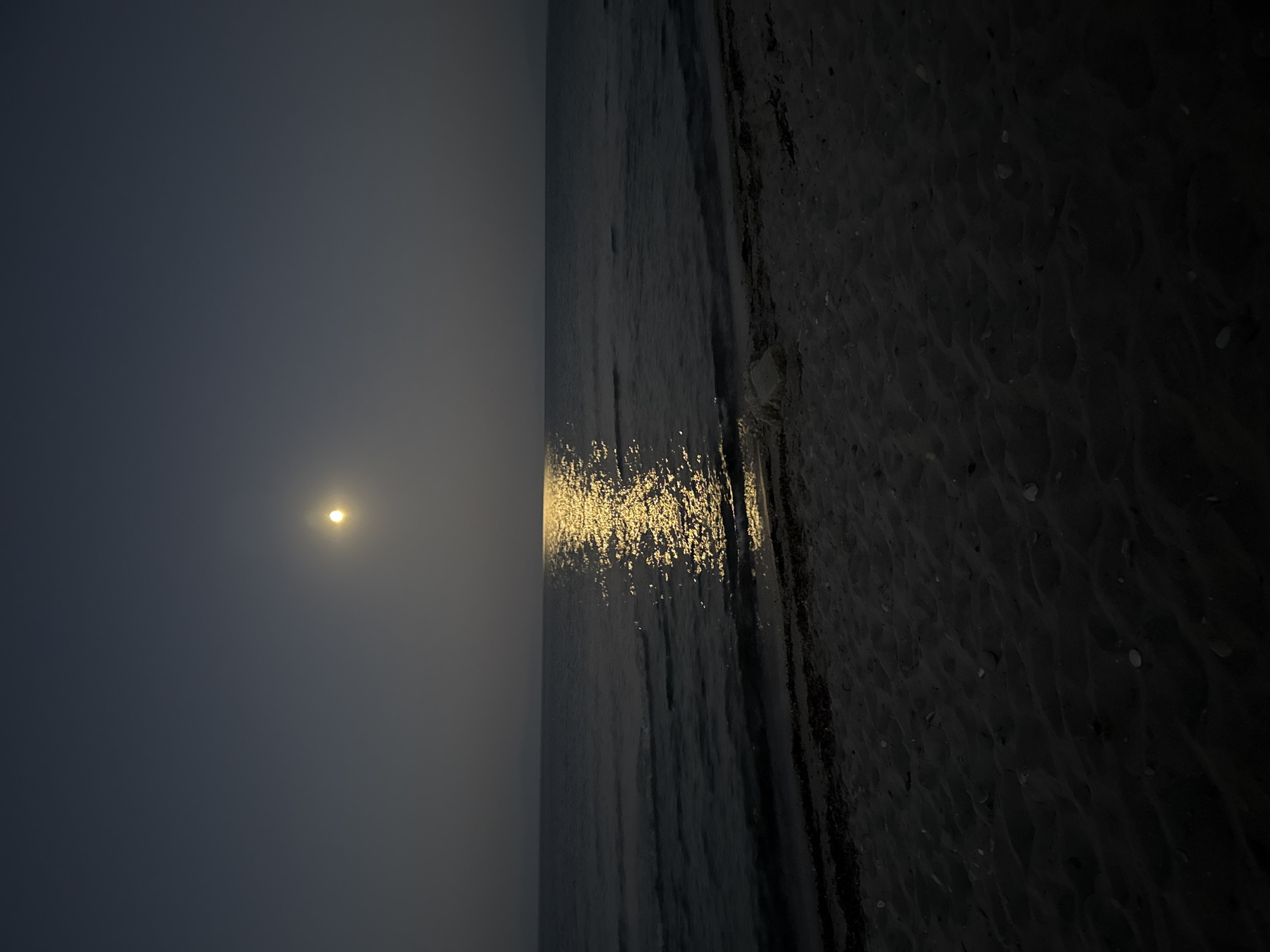 A serene night scene unfolds on a sandy beach in Kassandra Municipal Unit, Greece. The moon, a bright, luminous orb, hangs high in the dark, clear sky, casting a shimmering golden reflection across the calm sea. Gentle waves lap at the shore, where dark sand is dotted with small shells and debris. The horizon is barely visible, merging the sea and sky into a seamless expanse. No people or specific objects are discernable in the scene, allowing the natural beauty of the moonlit seascape to dominate.