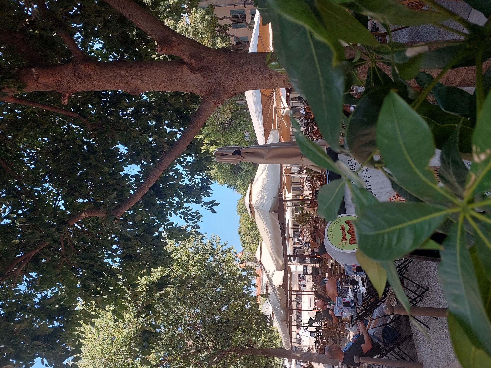 The image shows an outdoor seating area of a restaurant or cafe in Antibes, France. Large trees with dense green foliage provide shade over several tables and beige umbrellas. People are seated at some of the tables, appearing to be dining or socializing. A prominent tree trunk is in the foreground, with its branches extending upwards and its leaves partially obscuring the view of the sky. In the background, there are buildings and more trees. A sign visible on one of the tables reads "NOUVEAUTE Chocolat Dubai." The scene suggests a pleasant day in a European city.
