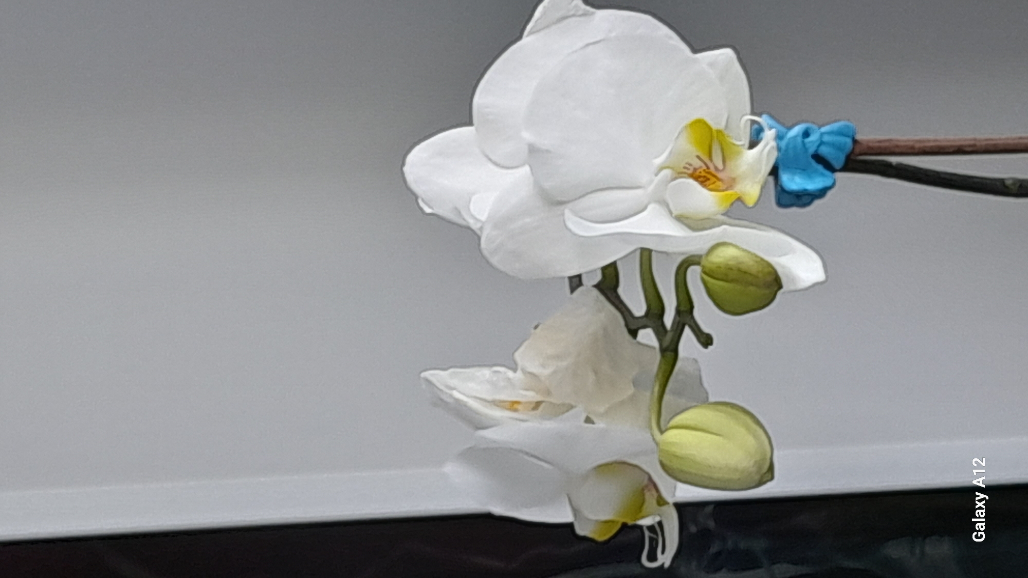A white orchid flower with a blue clip on its stem is reflected on a glossy surface. Two green buds are visible on the stem beneath the flower. The background is a gradient of grey. The lower portion of the image reveals a dark, possibly black, horizontal band. The text "Galaxy A12" is visible in the bottom right corner. The location Марковский, Russia is irrelevant to the visible content of the image.