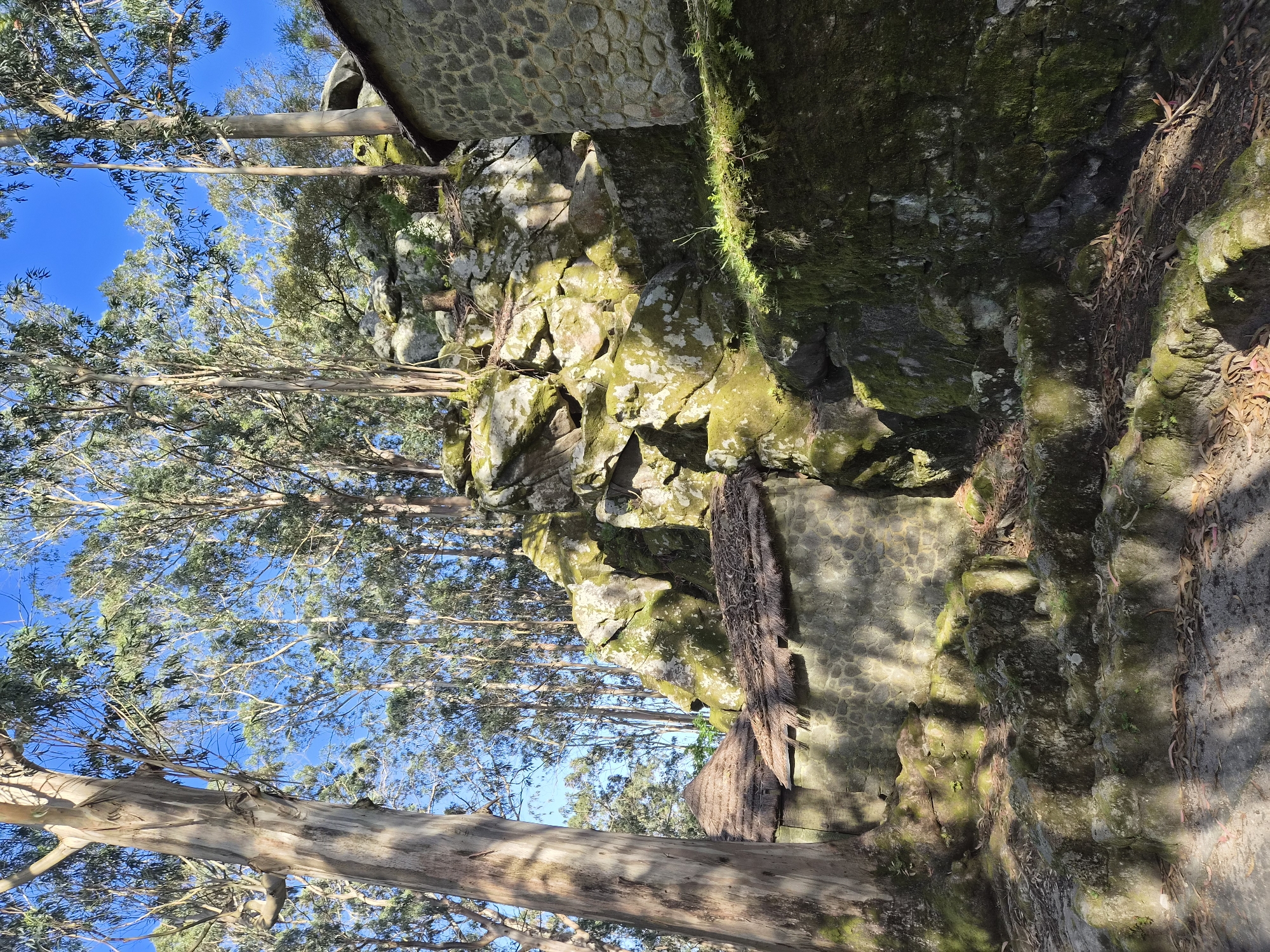 The image depicts a rocky landscape, possibly in Esposende, Portugal, characterized by a combination of natural and man-made elements. The foreground features the trunks and branches of trees reaching towards a blue sky, interspersed with foliage. The central focus is on a rugged rock formation, partially covered in green moss and vegetation. A man-made structure, appearing as a stone wall or building, is situated atop the rock formation. The overall scene evokes a sense of natural beauty juxtaposed with historical architecture.