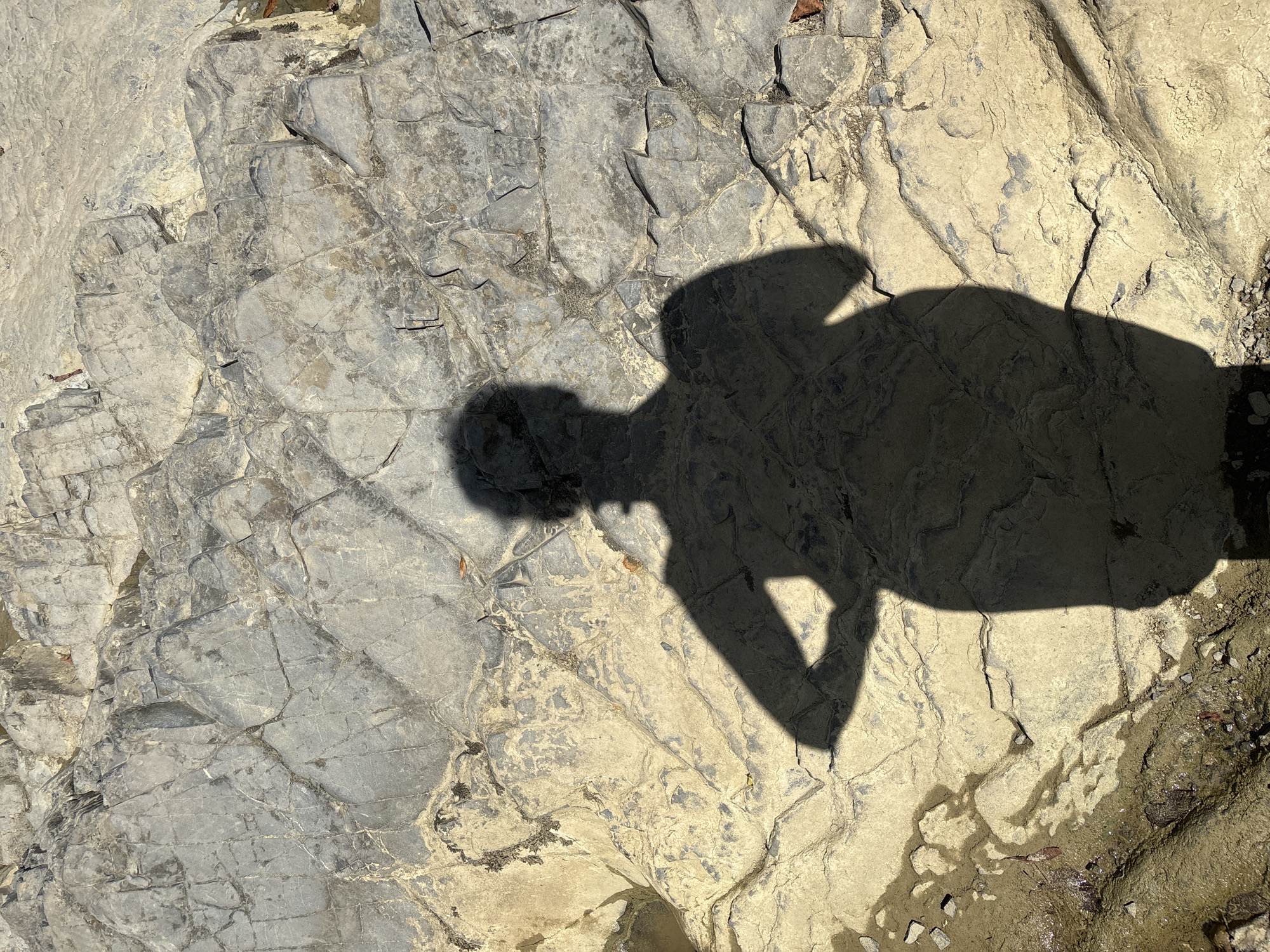 The image displays the shadow of a person casting upon a textured, rocky surface. The rocks are predominantly grey and beige, with visible cracks and geological striations, suggesting an outdoor environment. The shadow itself is dark and sharply defined, depicting a human silhouette with arms akimbo, indicative of a posed stance. The lighting suggests a sunny day. The image does not contain any elements or context that would place it in Khostinskiy, Russia, or any other specific city.