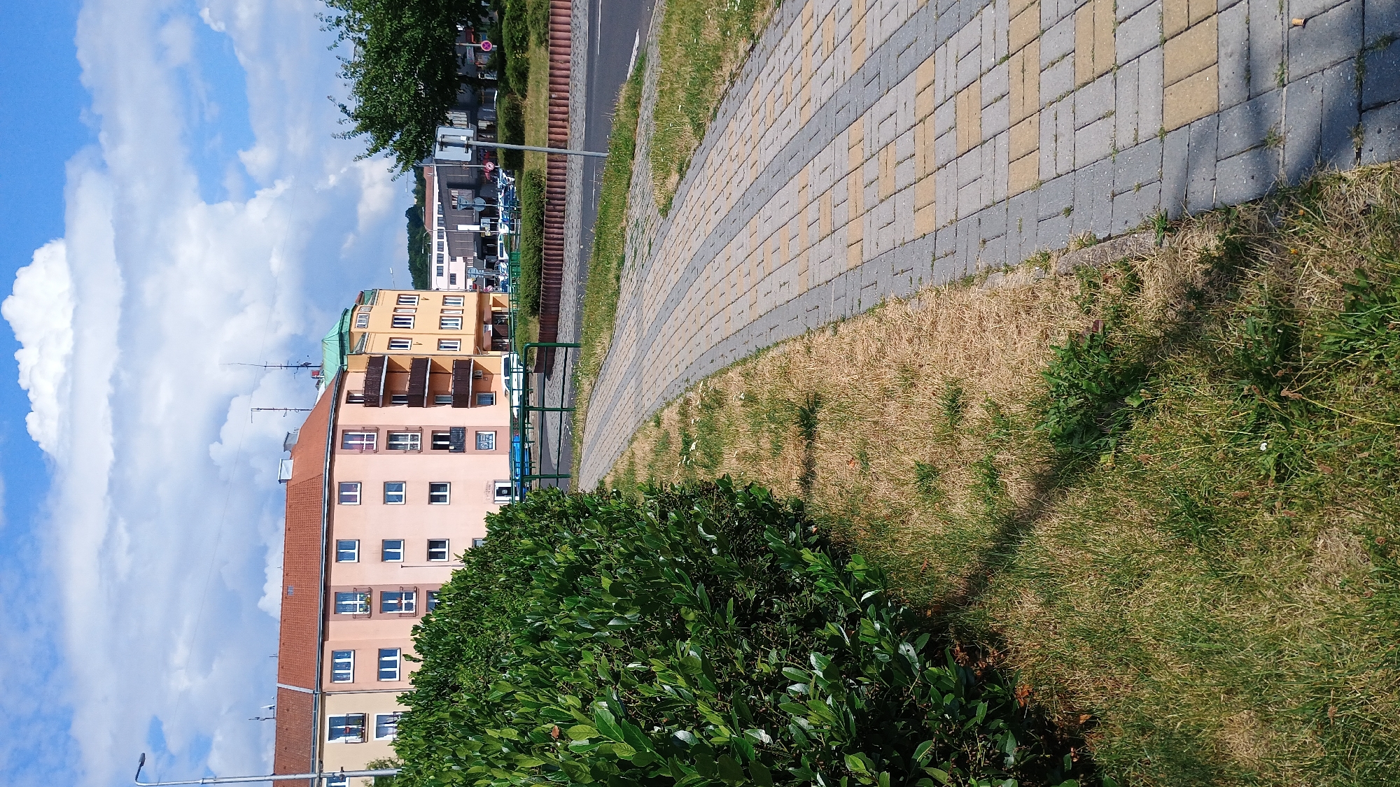 The image depicts a paved walkway with a distinct curve, bordered by a thick, green hedge on the left and a patch of dry grass transitioning to a road on the right. In the background, there are multi-story buildings with orange and pink facades, featuring numerous windows and balconies. A green metal fence runs along the edge of the walkway, separating it from a circular island with a brown brick border. Beyond the buildings, a few vehicles are visible parked on a street, and trees line the horizon under a sky filled with white, fluffy clouds. The scene appears to be a public space in the city of Sokolov, Czechia, likely a residential area given the apartment buildings.
